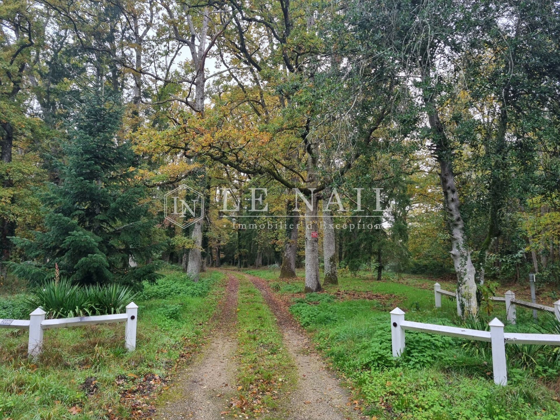 property 10 rooms for sale on LAMOTTE BEUVRON (41600)