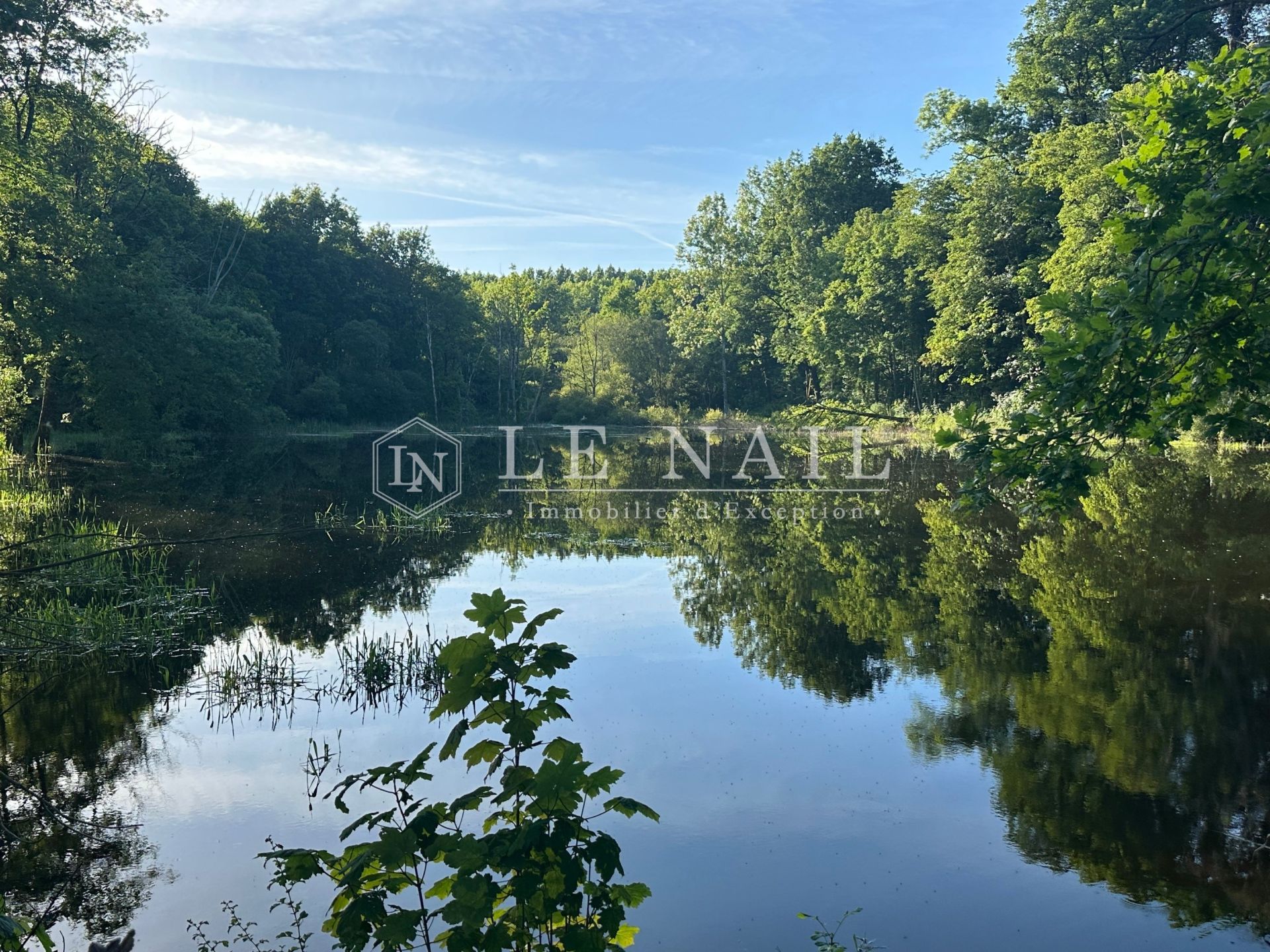 château 11 pièces en vente à LES EPESSES (85590)