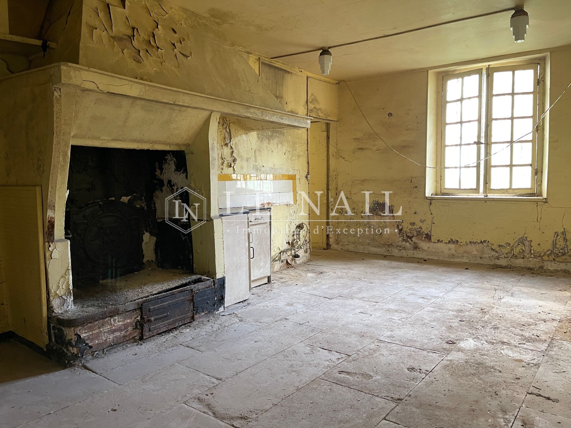 manor house 25 rooms for sale on BRIE COMTE ROBERT (77170)