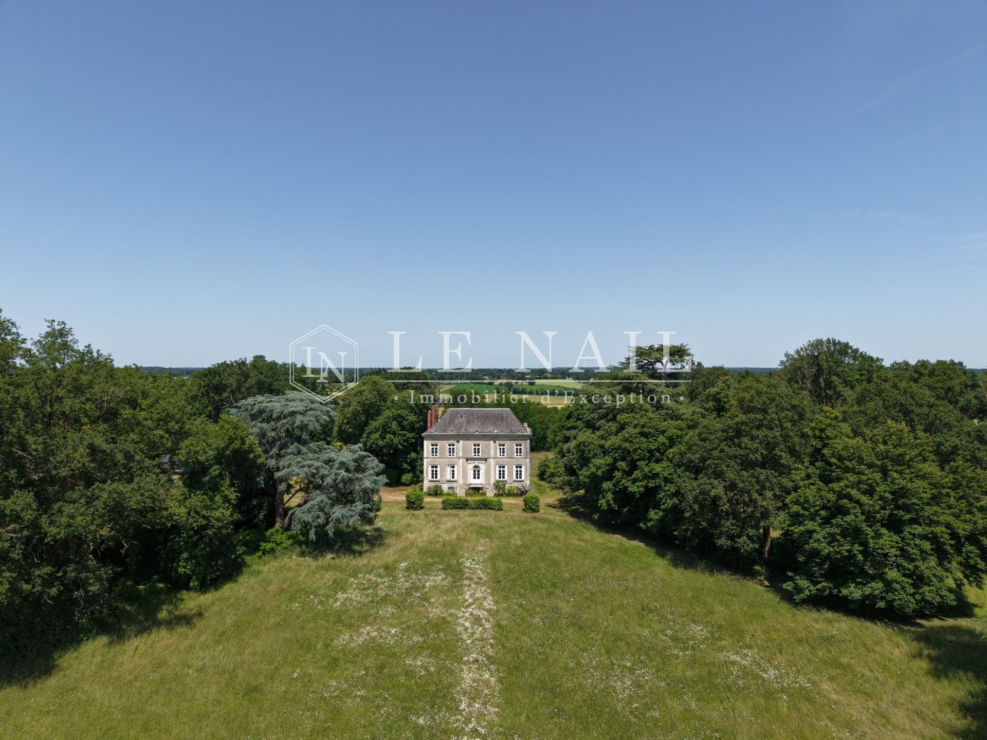 castle 10 rooms for sale on LE LION D ANGERS (49220)