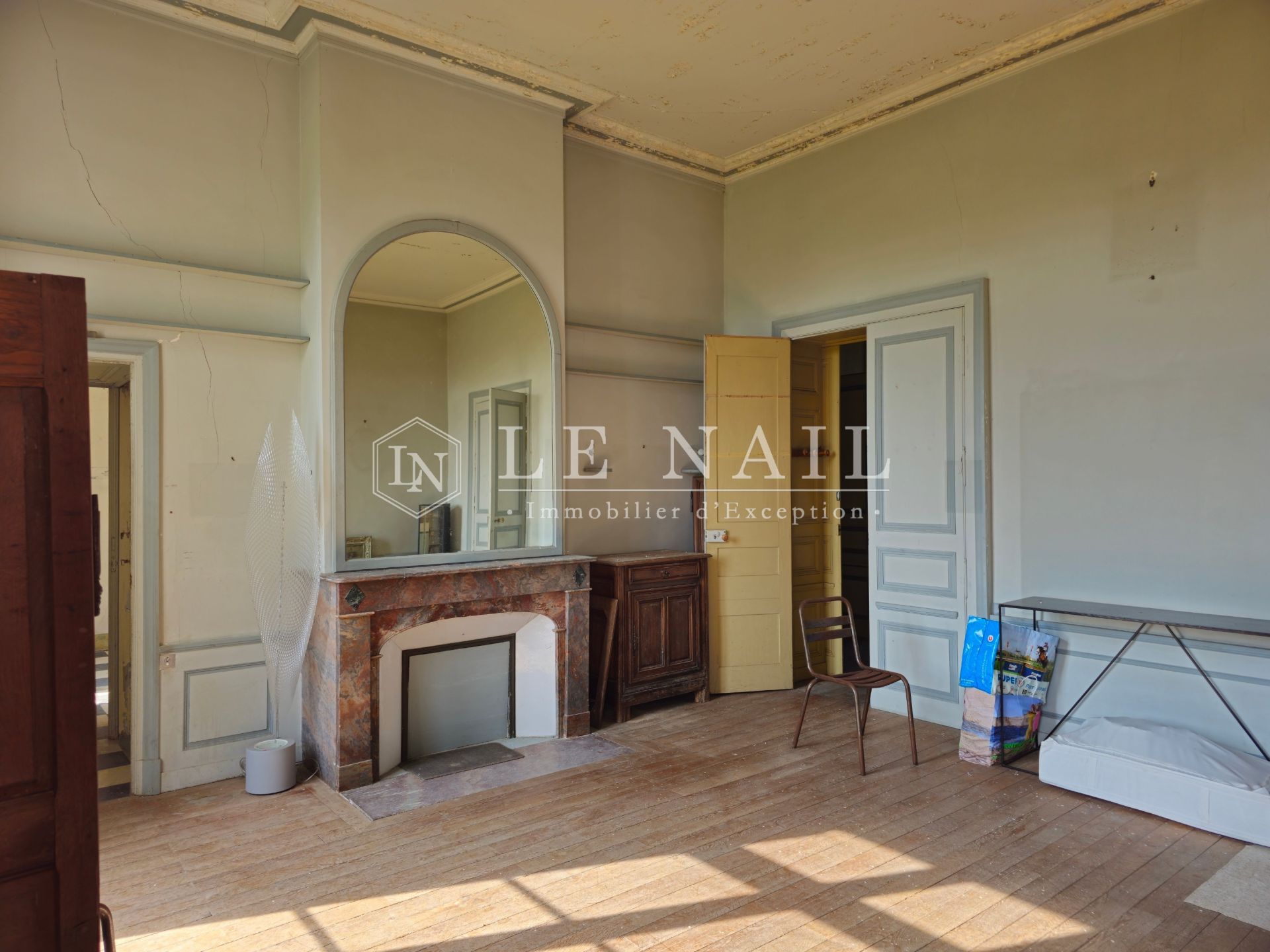 castle 10 rooms for sale on LE LION D ANGERS (49220)