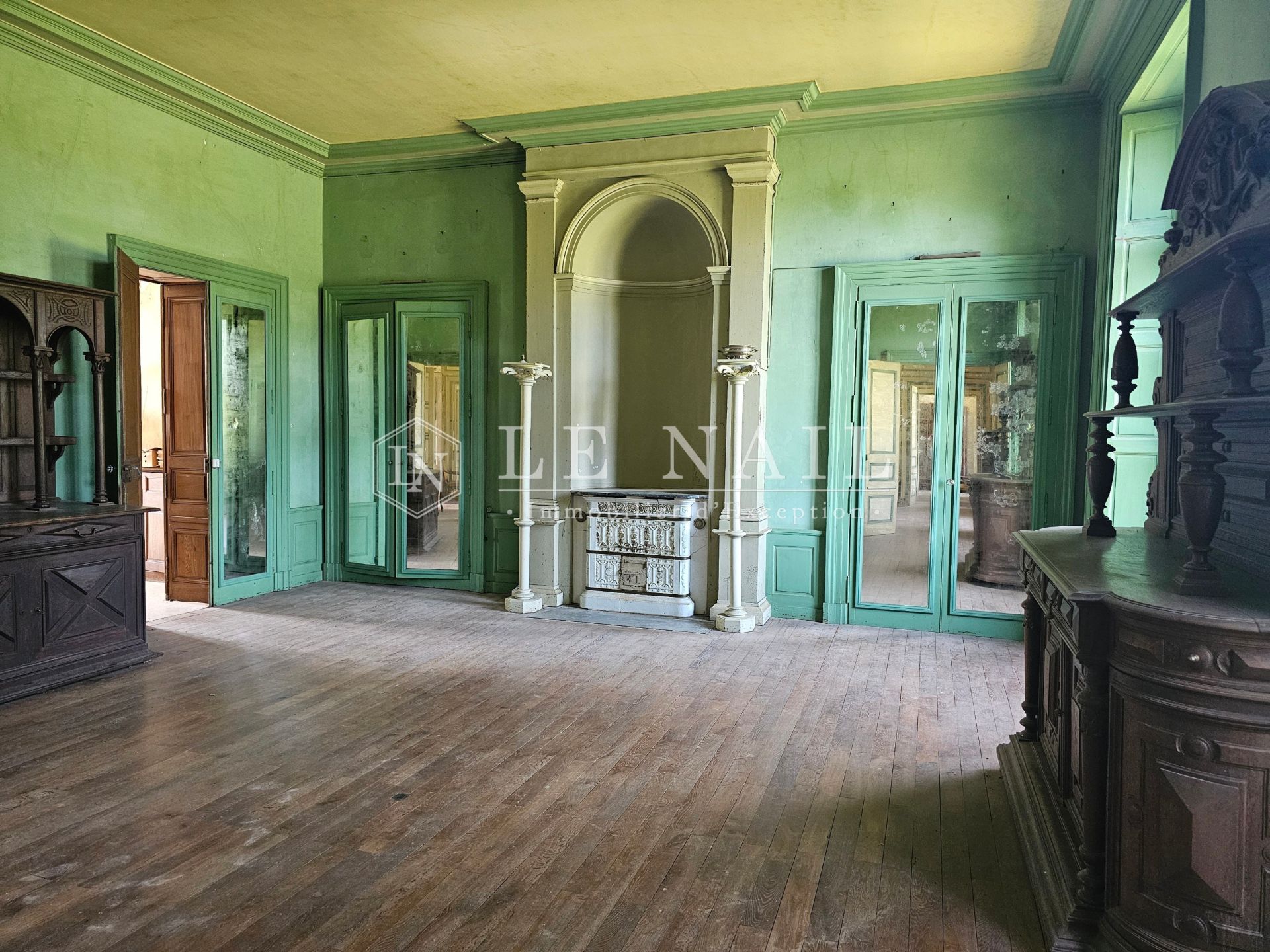castle 10 rooms for sale on LE LION D ANGERS (49220)