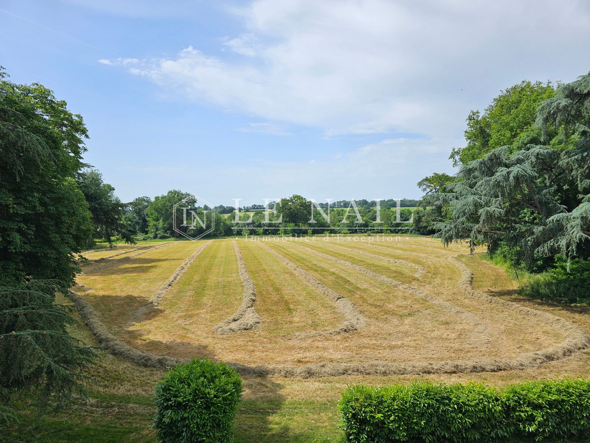 castle 10 rooms for sale on LE LION D ANGERS (49220)