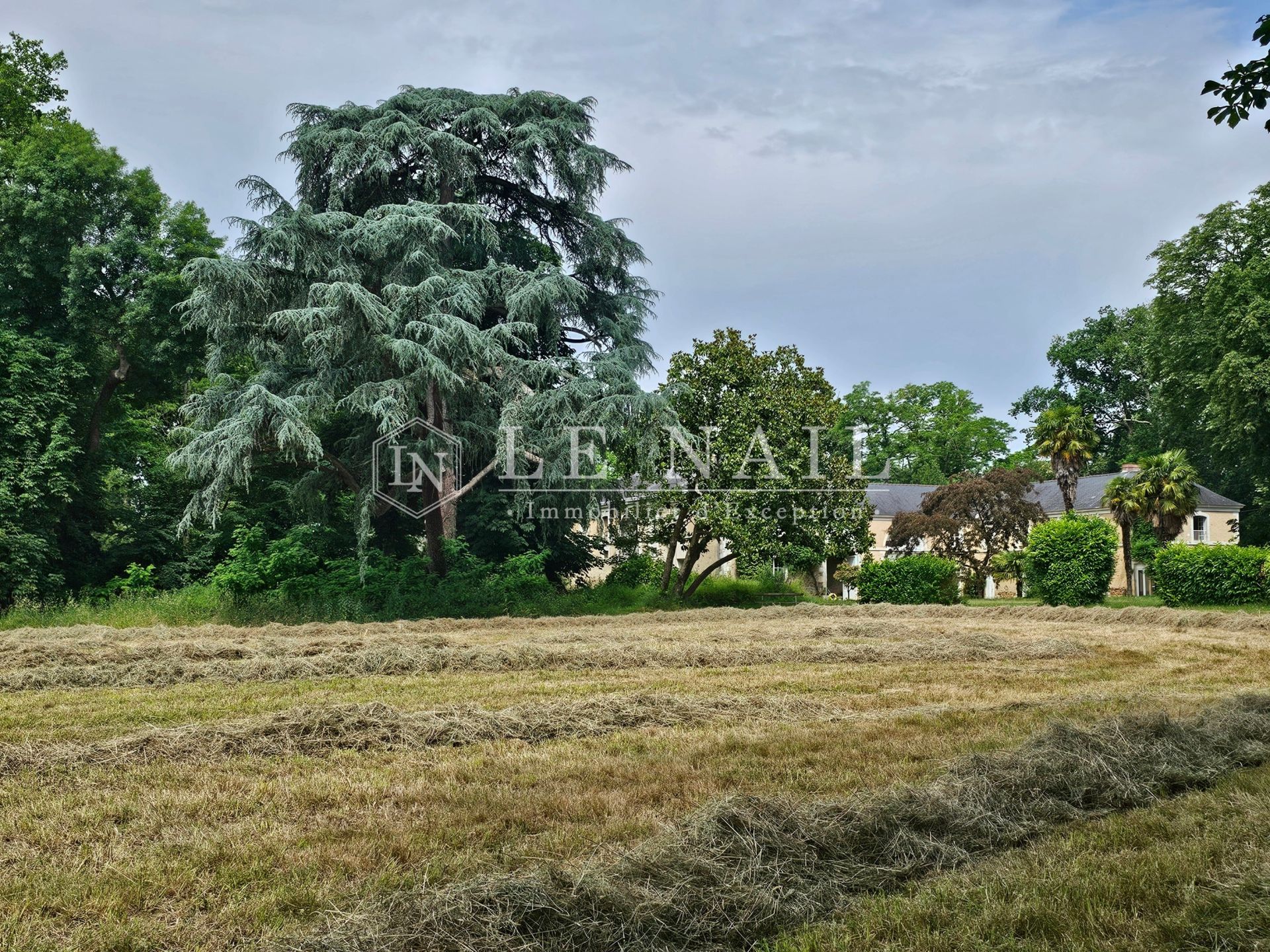 castle 10 rooms for sale on LE LION D ANGERS (49220)