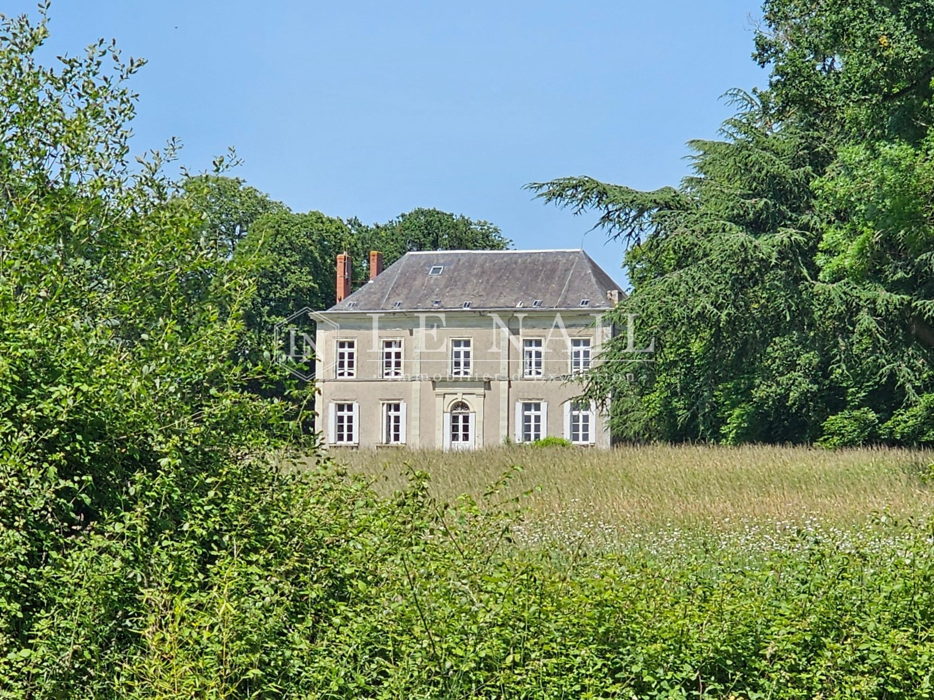 castle 10 rooms for sale on LE LION D ANGERS (49220)