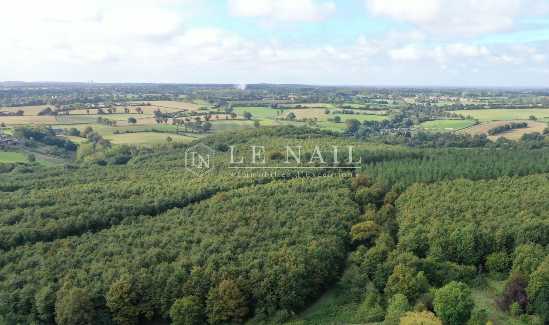 forêt en vente à HOUSSAY (53360)