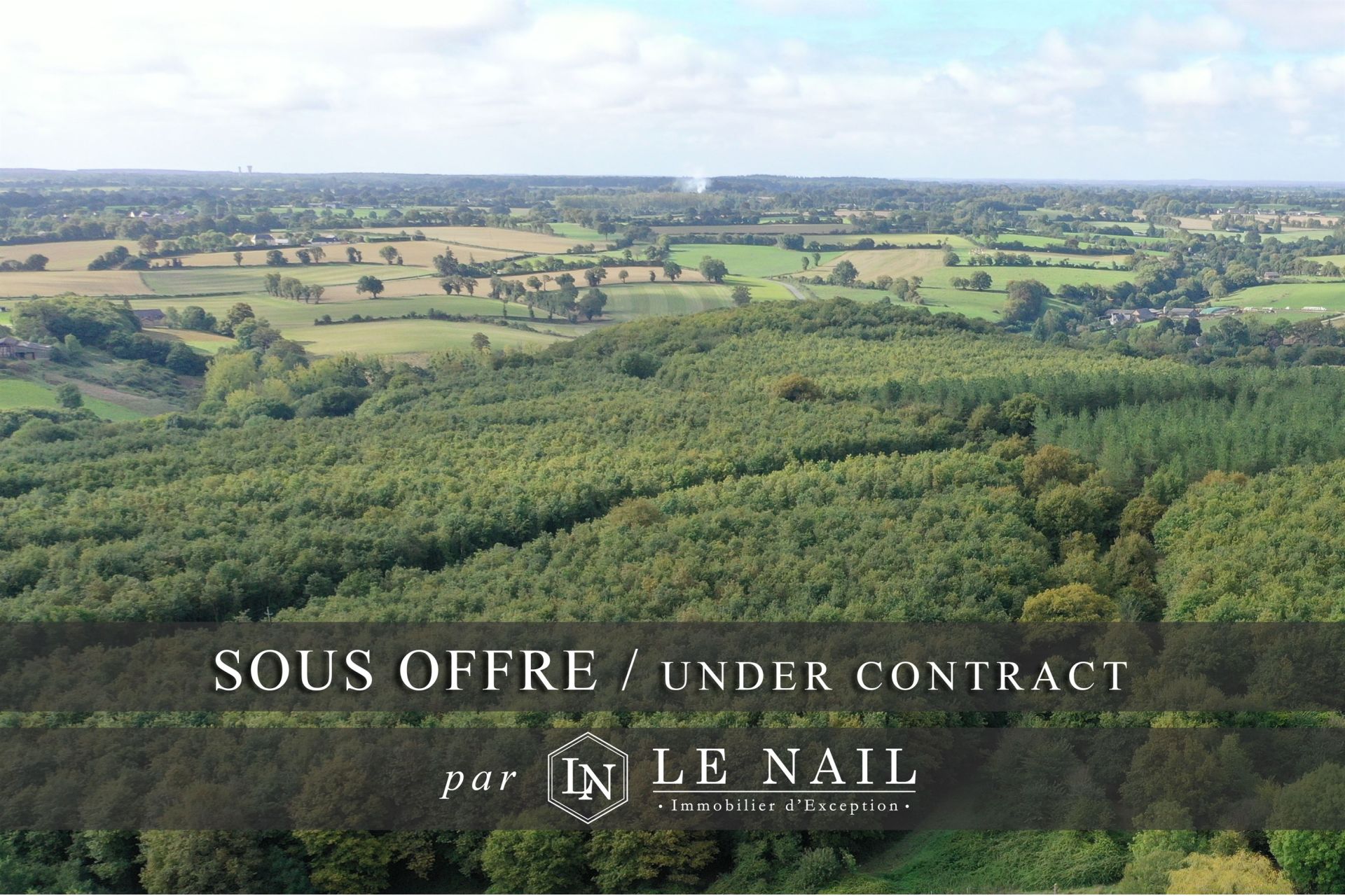 forest for sale on HOUSSAY (53360)
