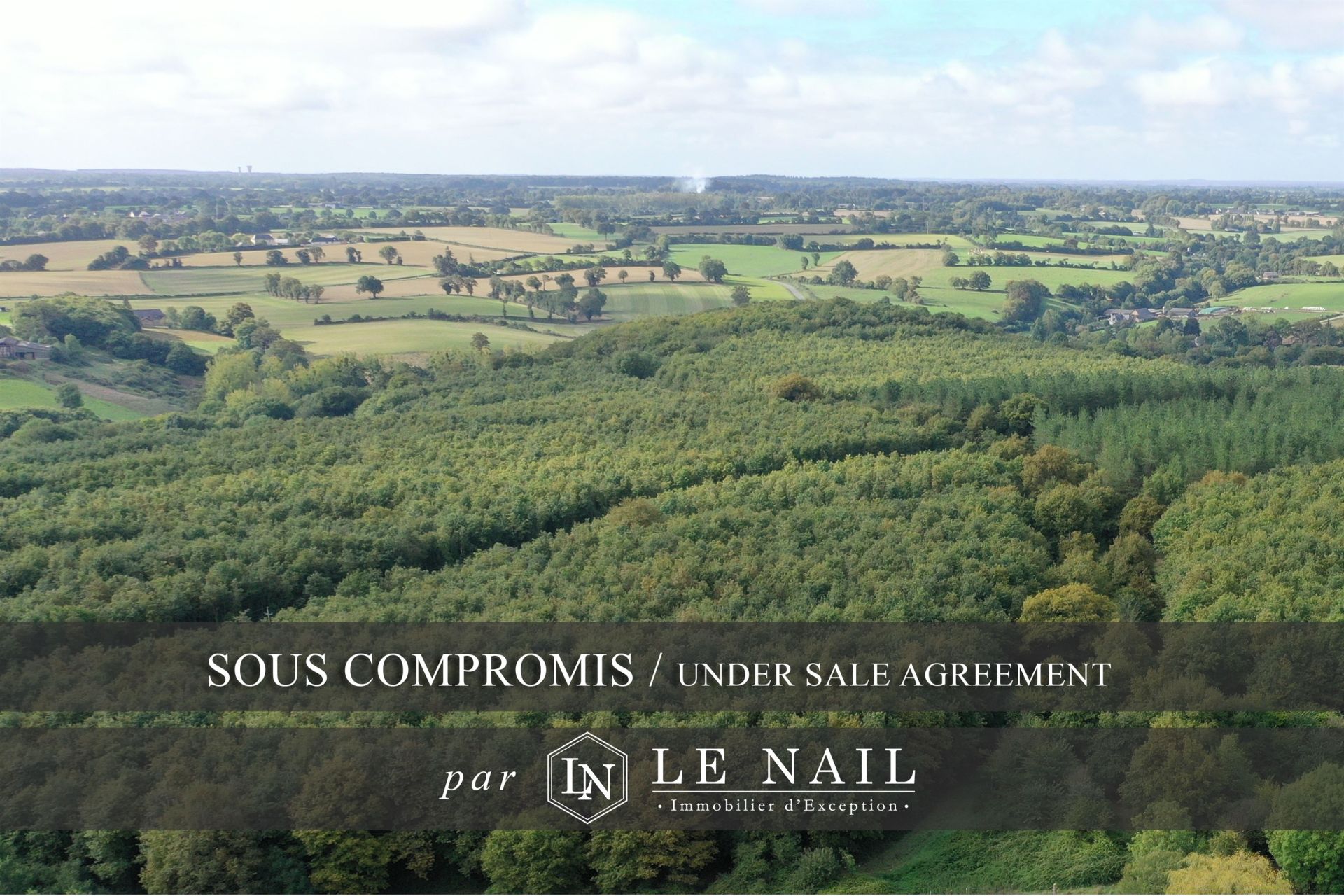 forêt en vente à HOUSSAY (53360)