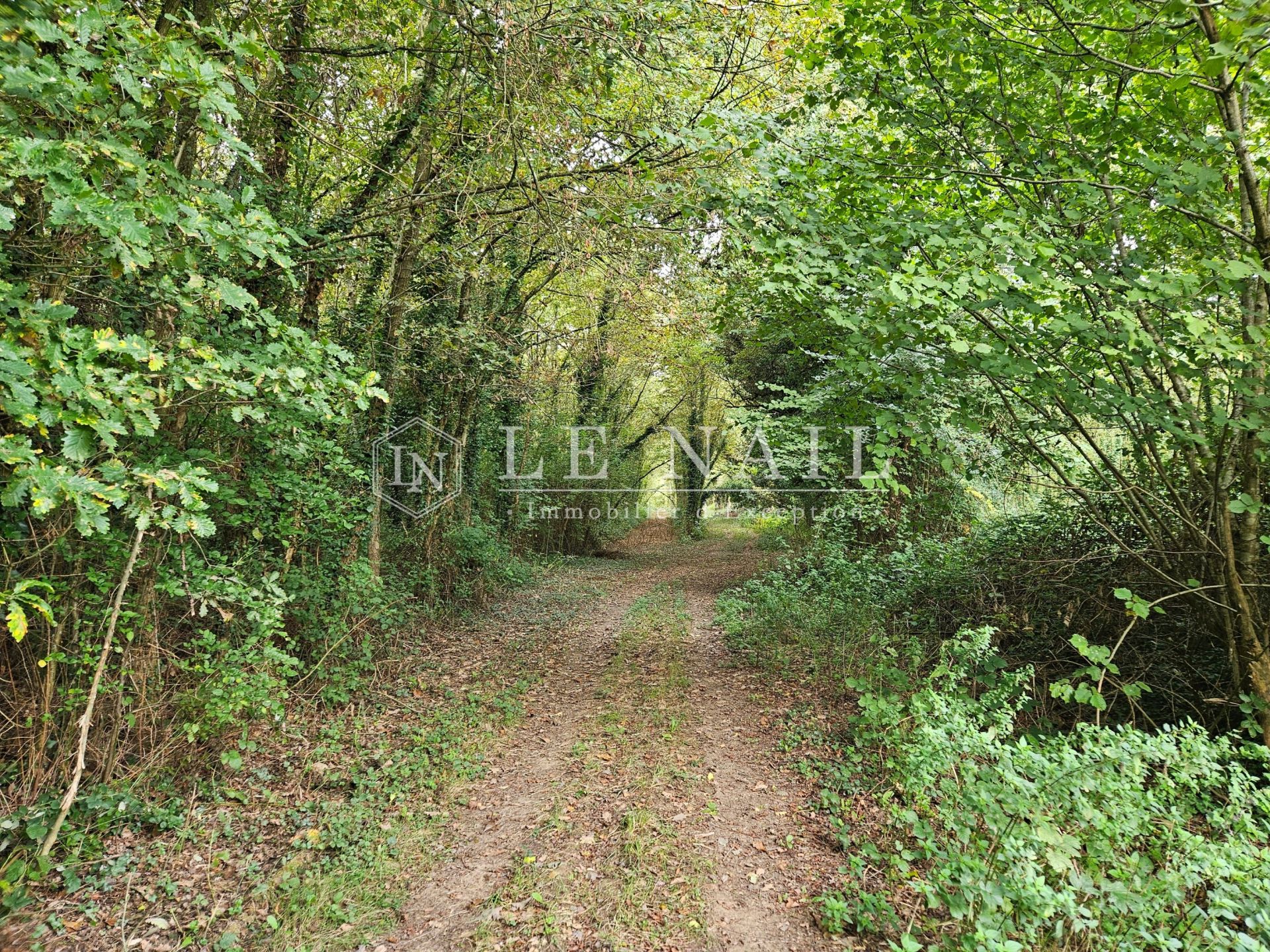 forêt en vente à HOUSSAY (53360)