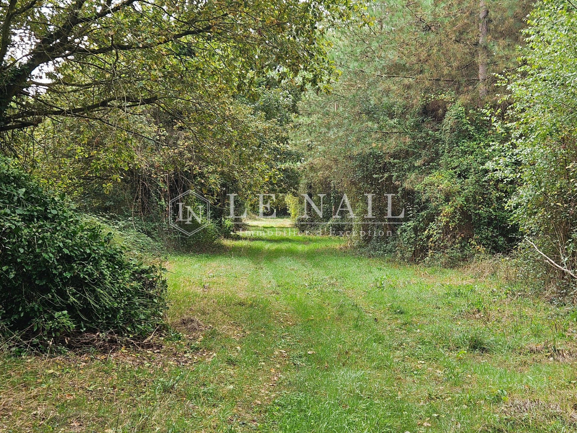 forêt en vente à HOUSSAY (53360)