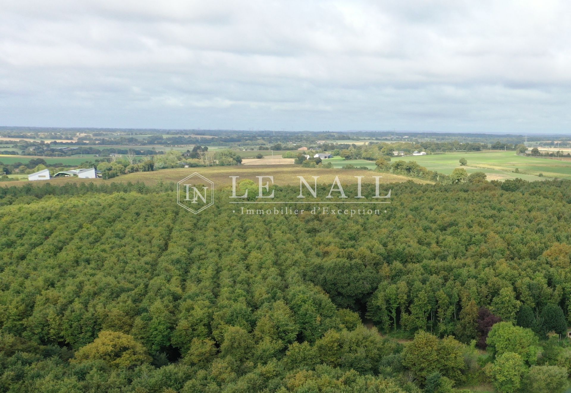 forêt en vente à HOUSSAY (53360)