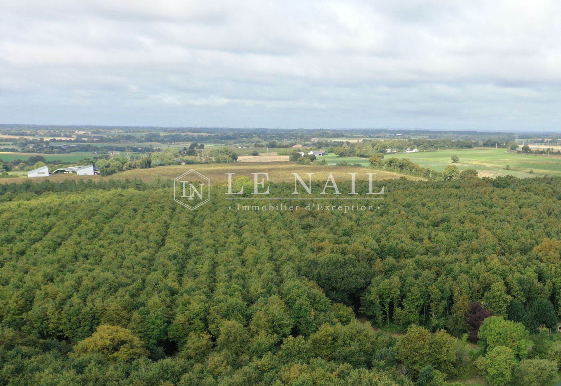 forêt en vente à HOUSSAY (53360)