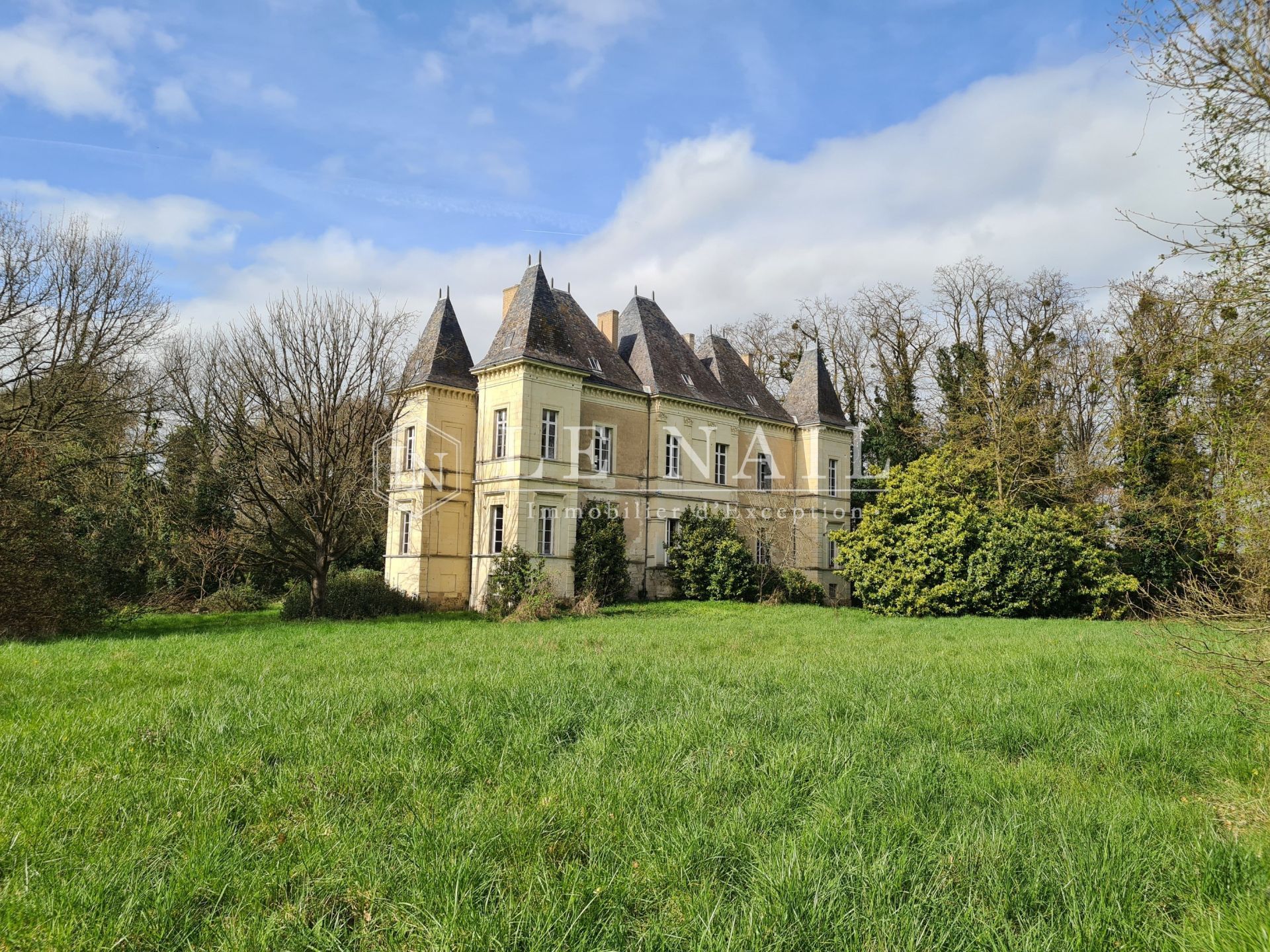 château 9 pièces en vente à SAUMUR (49400)