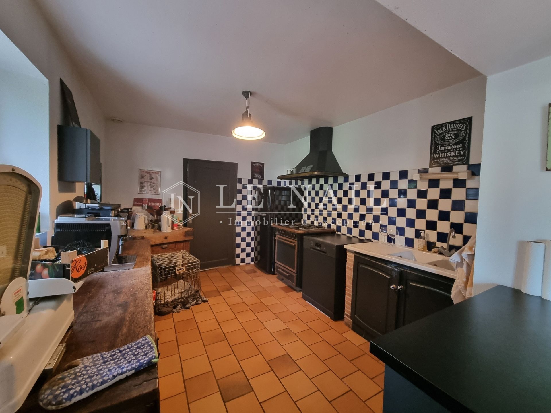 house 11 rooms for sale on MONTOIRE SUR LE LOIR (41800)