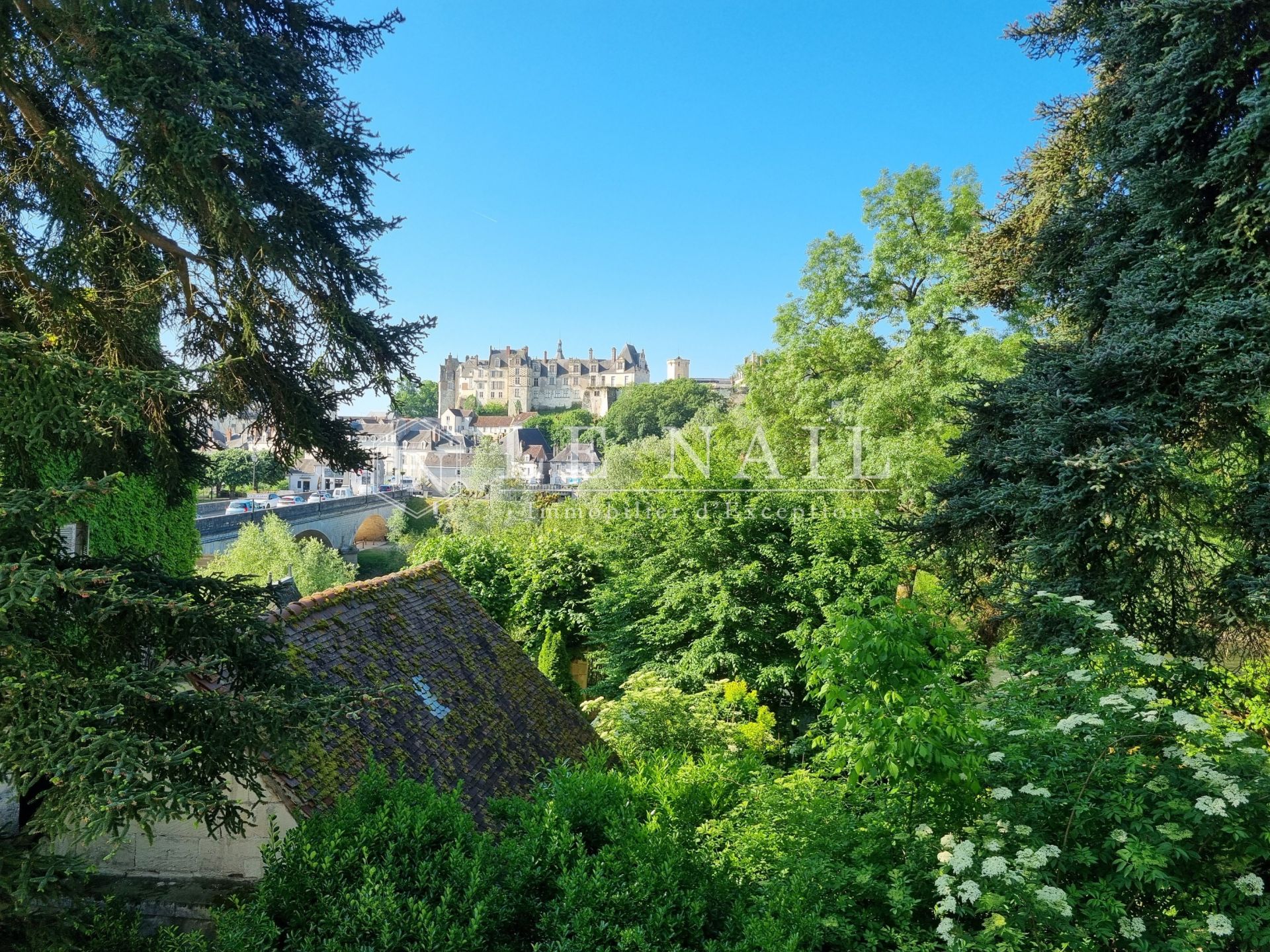 maison de maître 10 pièces en vente à ST AIGNAN (41110)