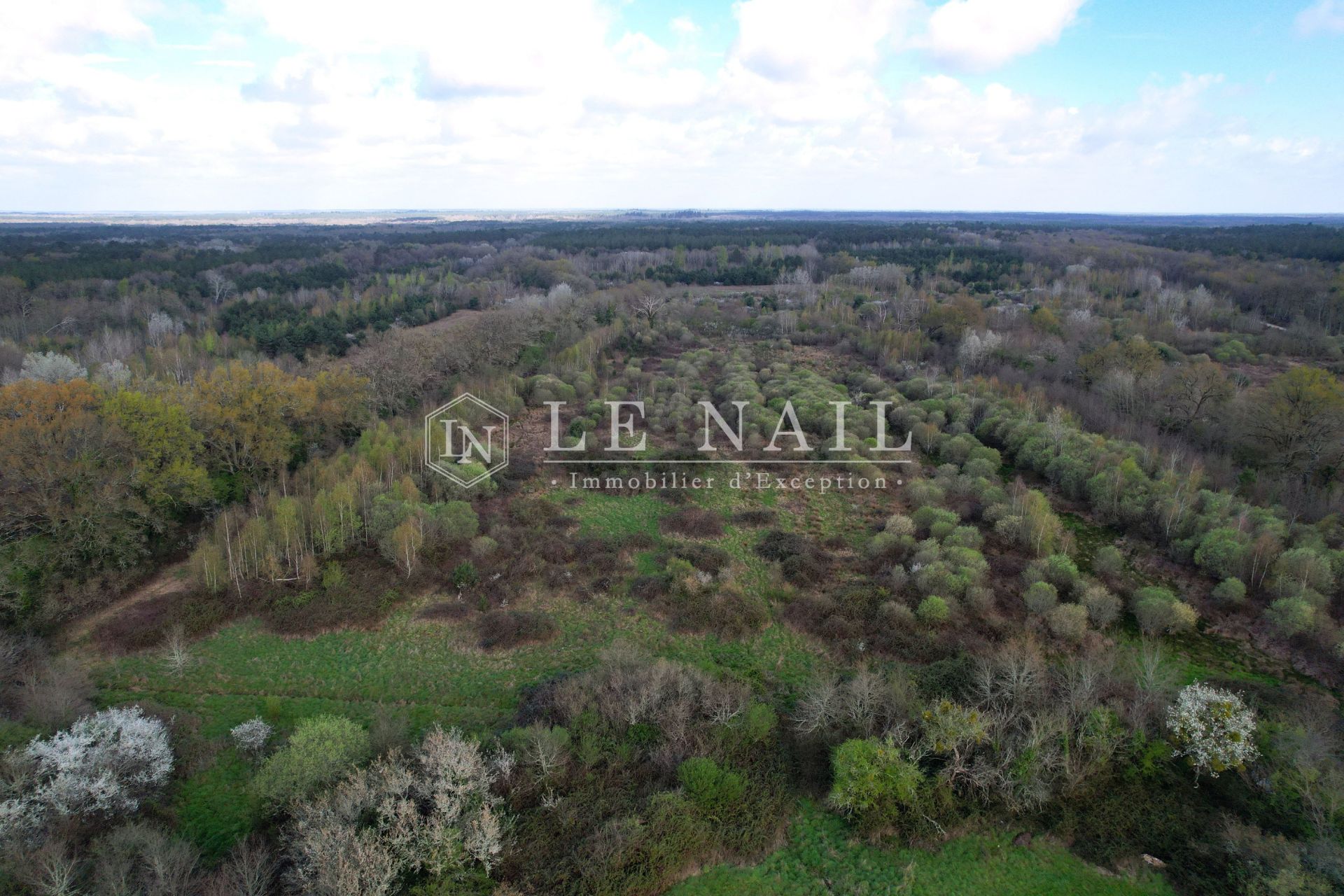 property 7 rooms for sale on SALBRIS (41300)