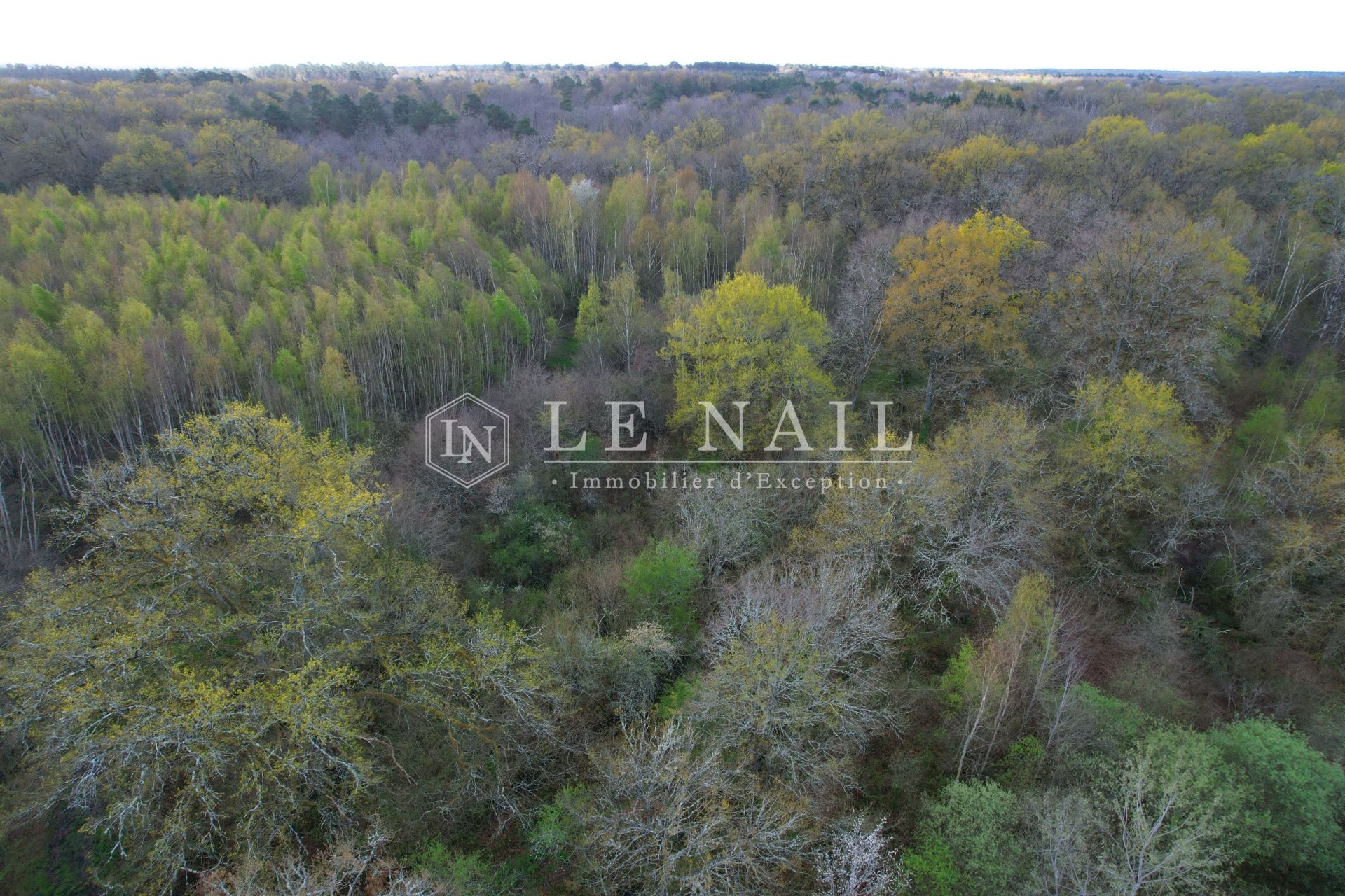 property 7 rooms for sale on SALBRIS (41300)