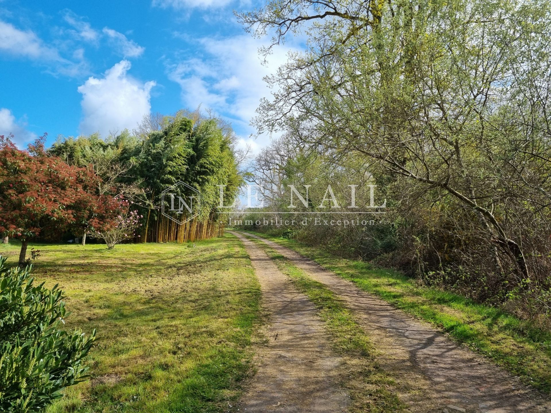 property 7 rooms for sale on SALBRIS (41300)