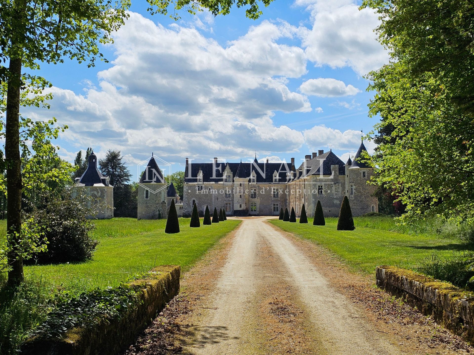 château 17 pièces en vente à BAUGE EN ANJOU (49150)