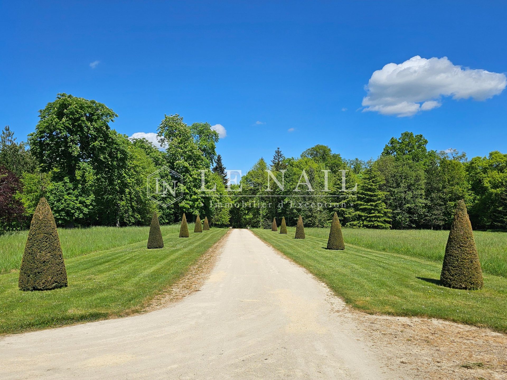 château 17 pièces en vente à BAUGE EN ANJOU (49150)