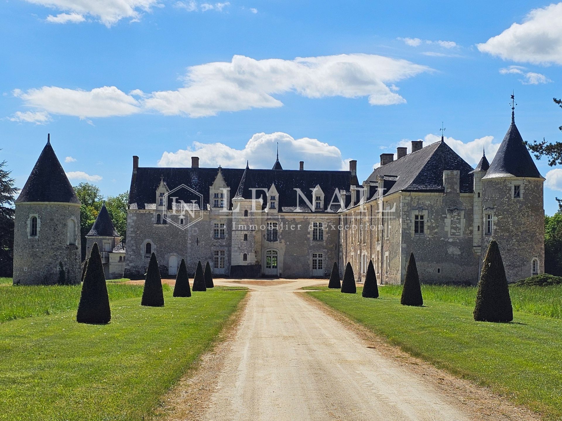 château 17 pièces en vente à BAUGE EN ANJOU (49150)
