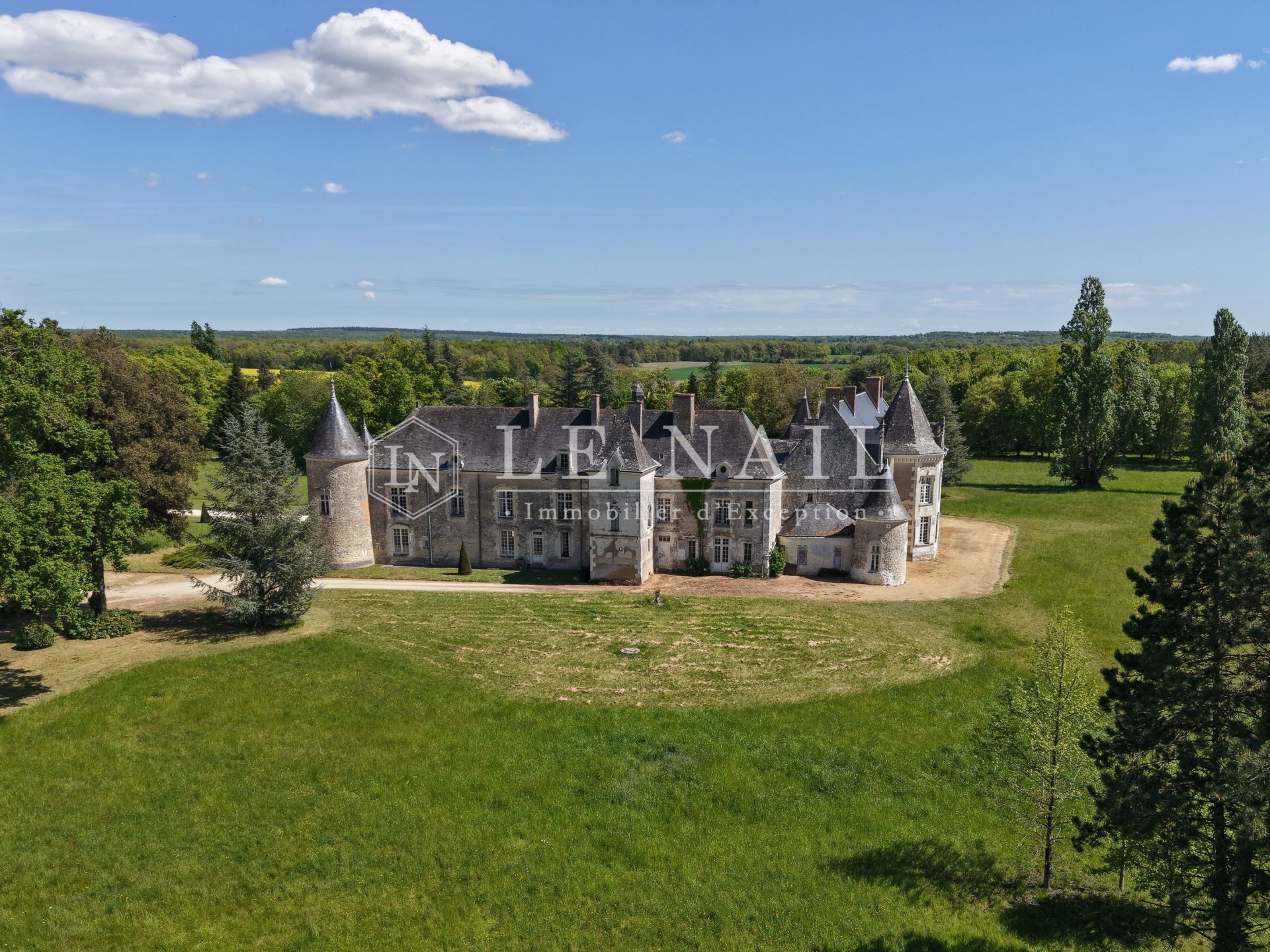 château 17 pièces en vente à BAUGE EN ANJOU (49150)