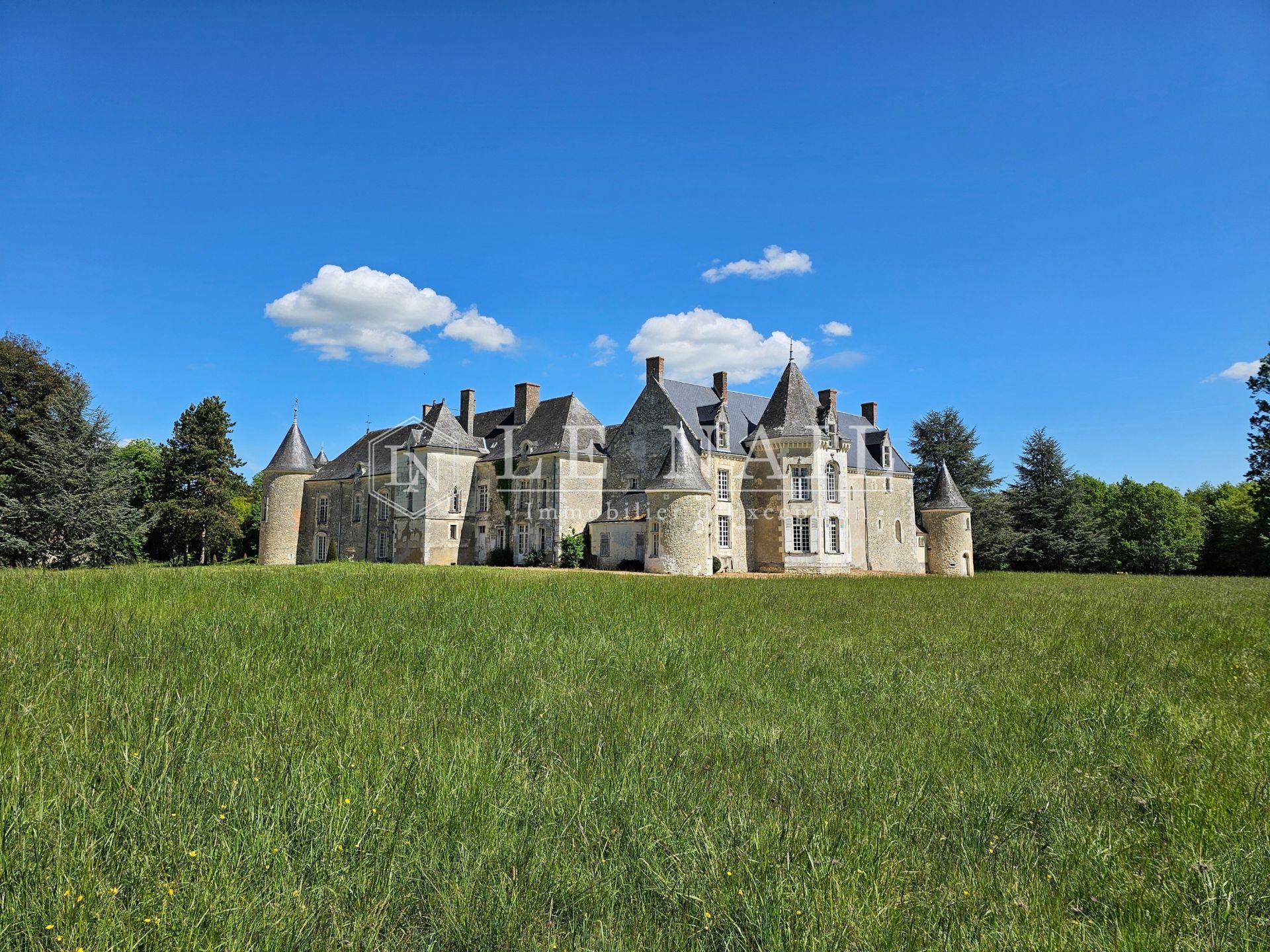château 17 pièces en vente à BAUGE EN ANJOU (49150)