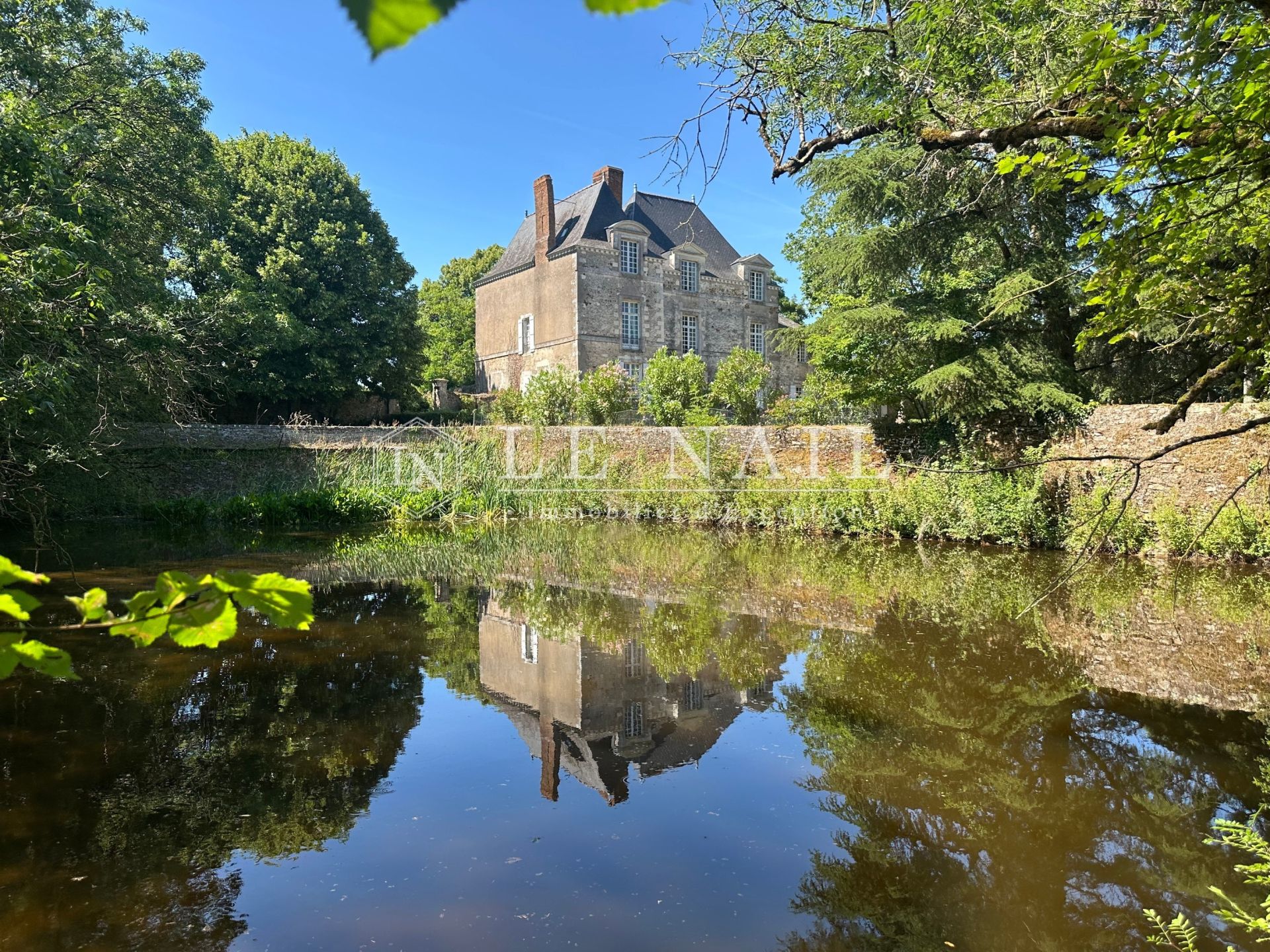 manor house 11 rooms for sale on LE LOROUX BOTTEREAU (44430)