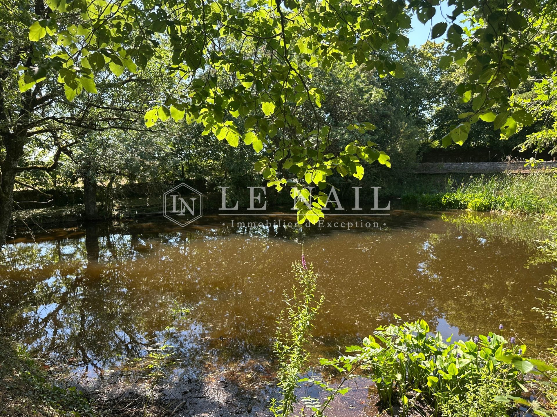 manor house 11 rooms for sale on LE LOROUX BOTTEREAU (44430)