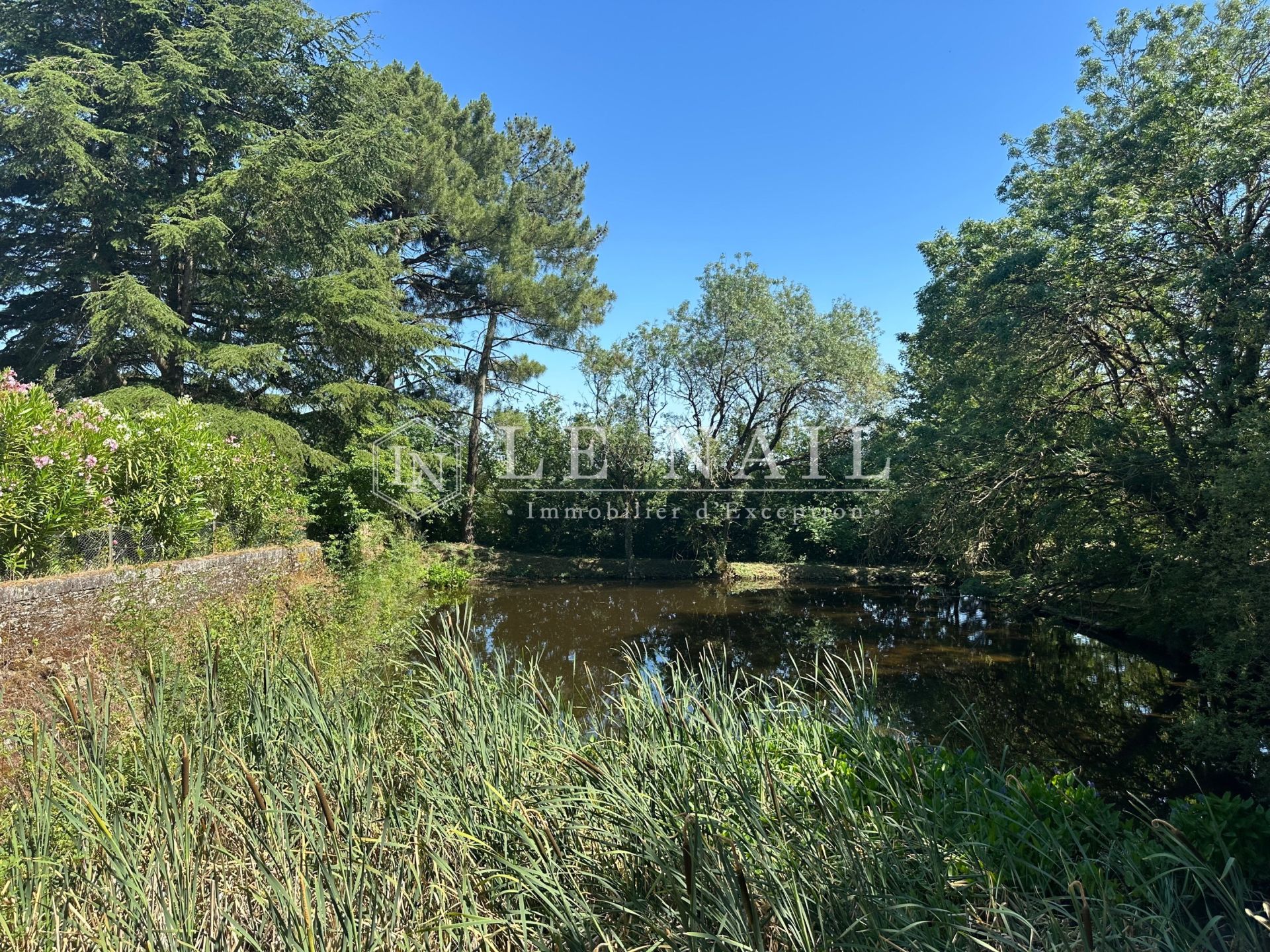 manor house 11 rooms for sale on LE LOROUX BOTTEREAU (44430)