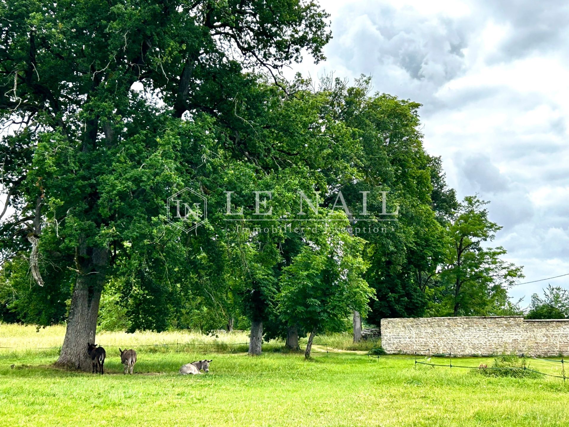 castle 36 rooms for sale on AVALLON (89200)