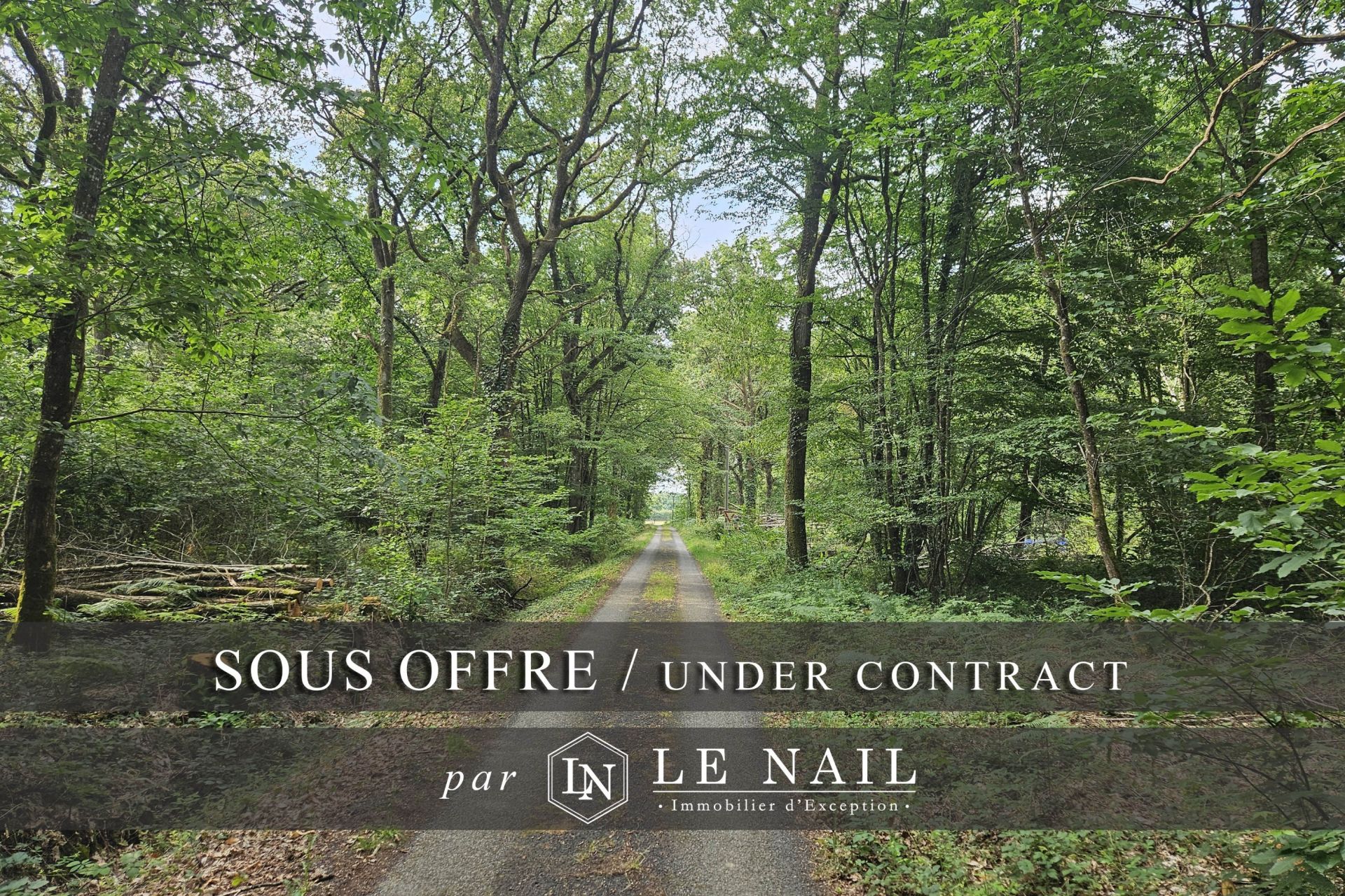forest for sale on CHATEAU GONTIER (53200)