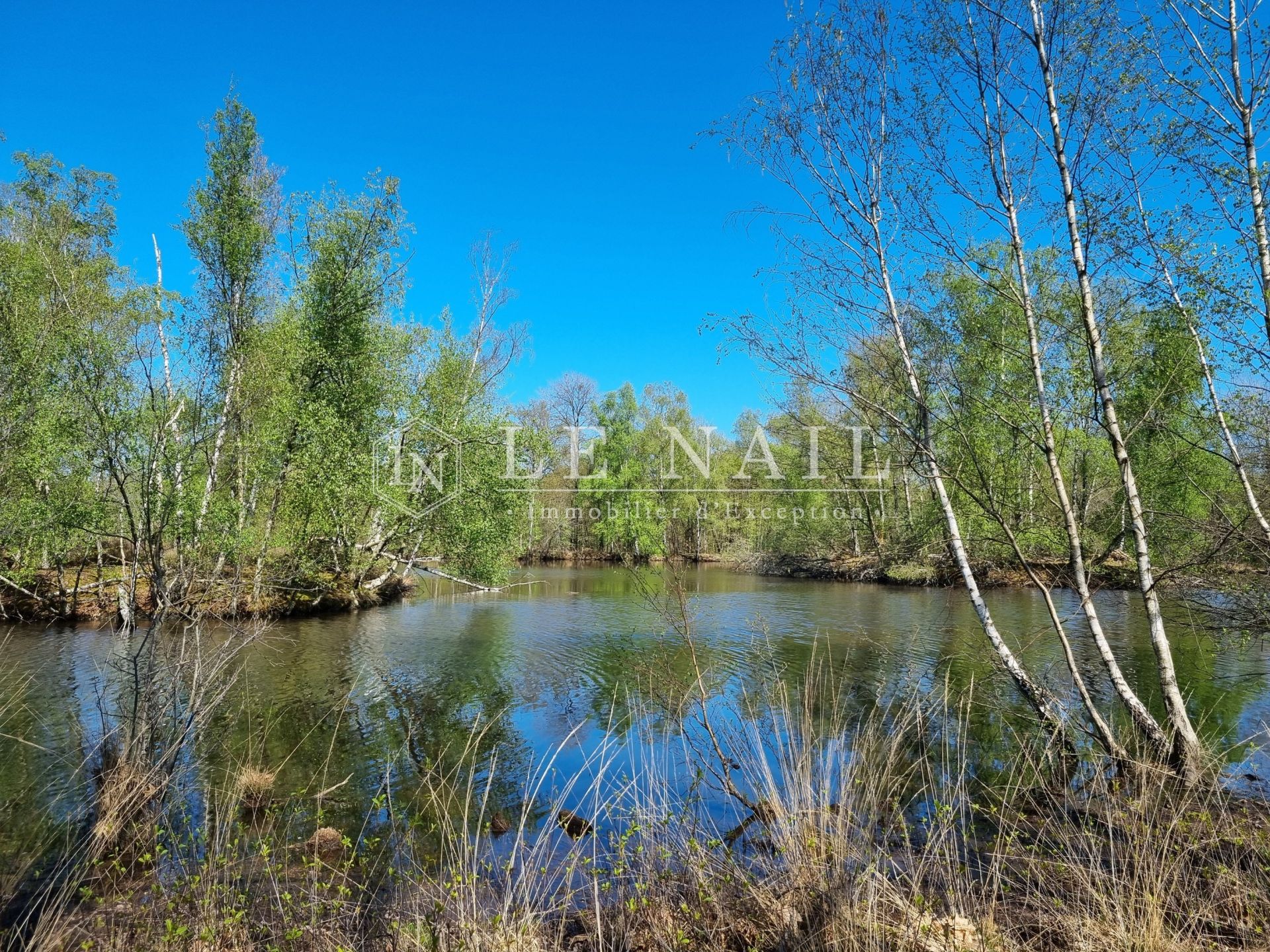 property 8 rooms for sale on AUBIGNY SUR NERE (18700)
