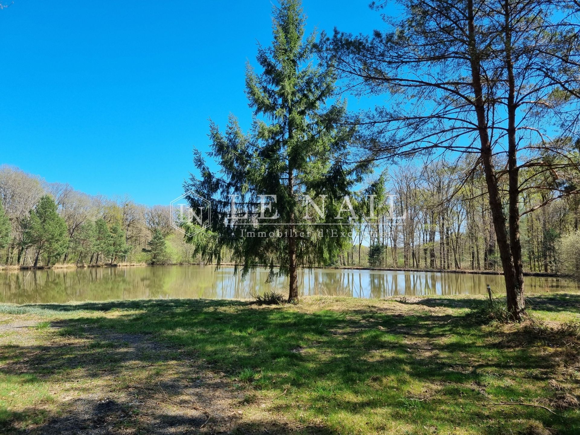 property 8 rooms for sale on AUBIGNY SUR NERE (18700)