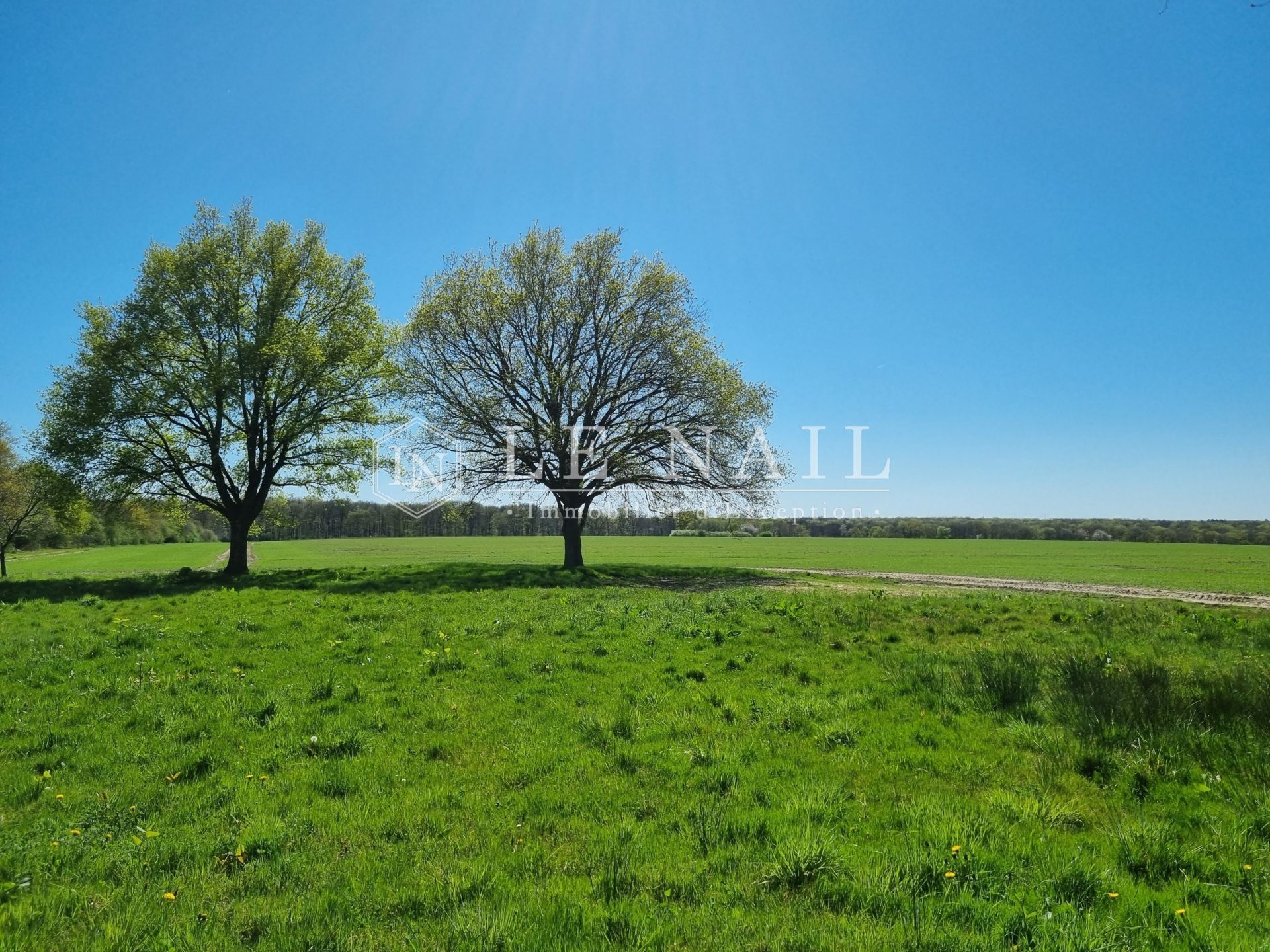 property 8 rooms for sale on AUBIGNY SUR NERE (18700)