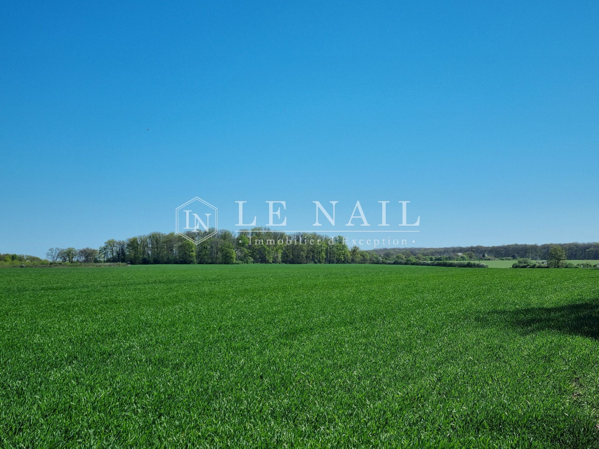 property 8 rooms for sale on AUBIGNY SUR NERE (18700)