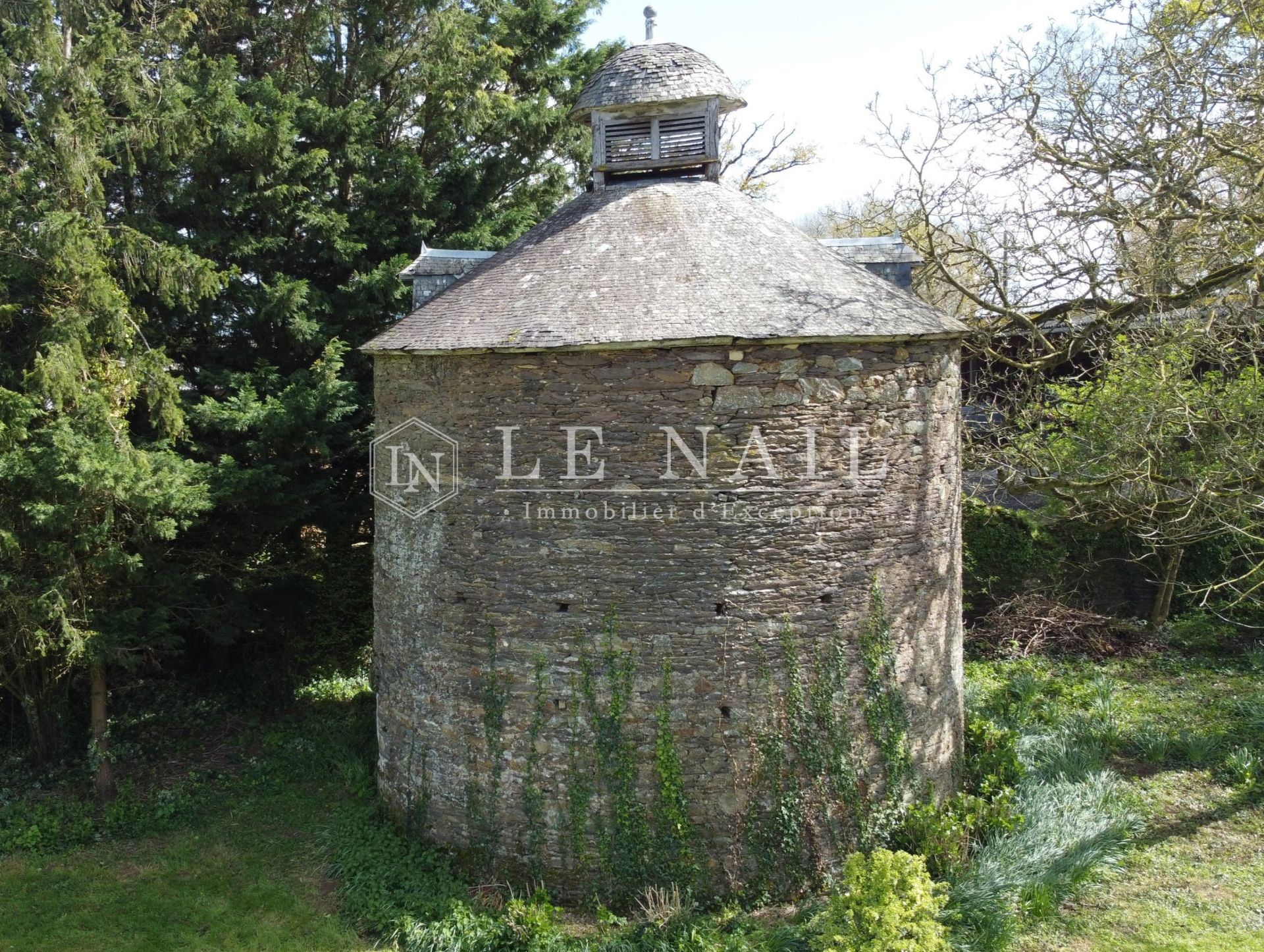 château 12 pièces en vente à BAIN DE BRETAGNE (35470)