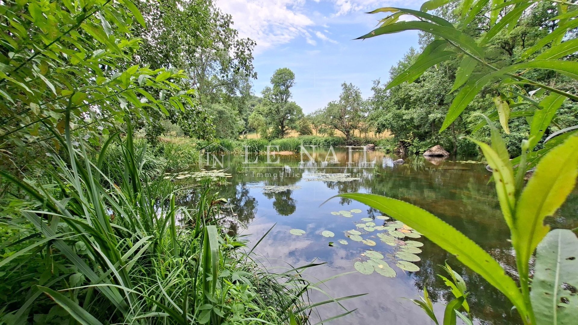 moulin 5 pièces en vente à ST LAURENT SUR SEVRE (85290)