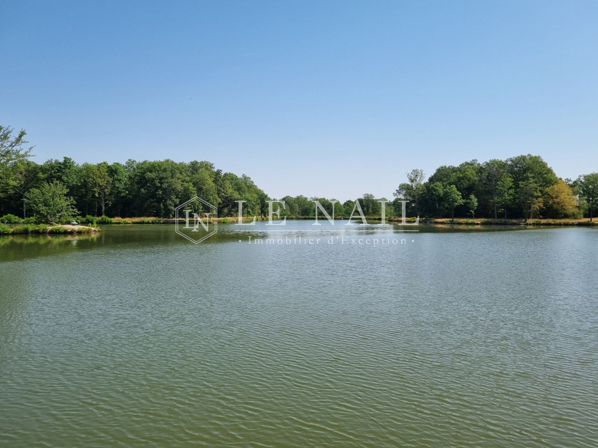 hunting estate 8 rooms for sale on LORRIS (45260)