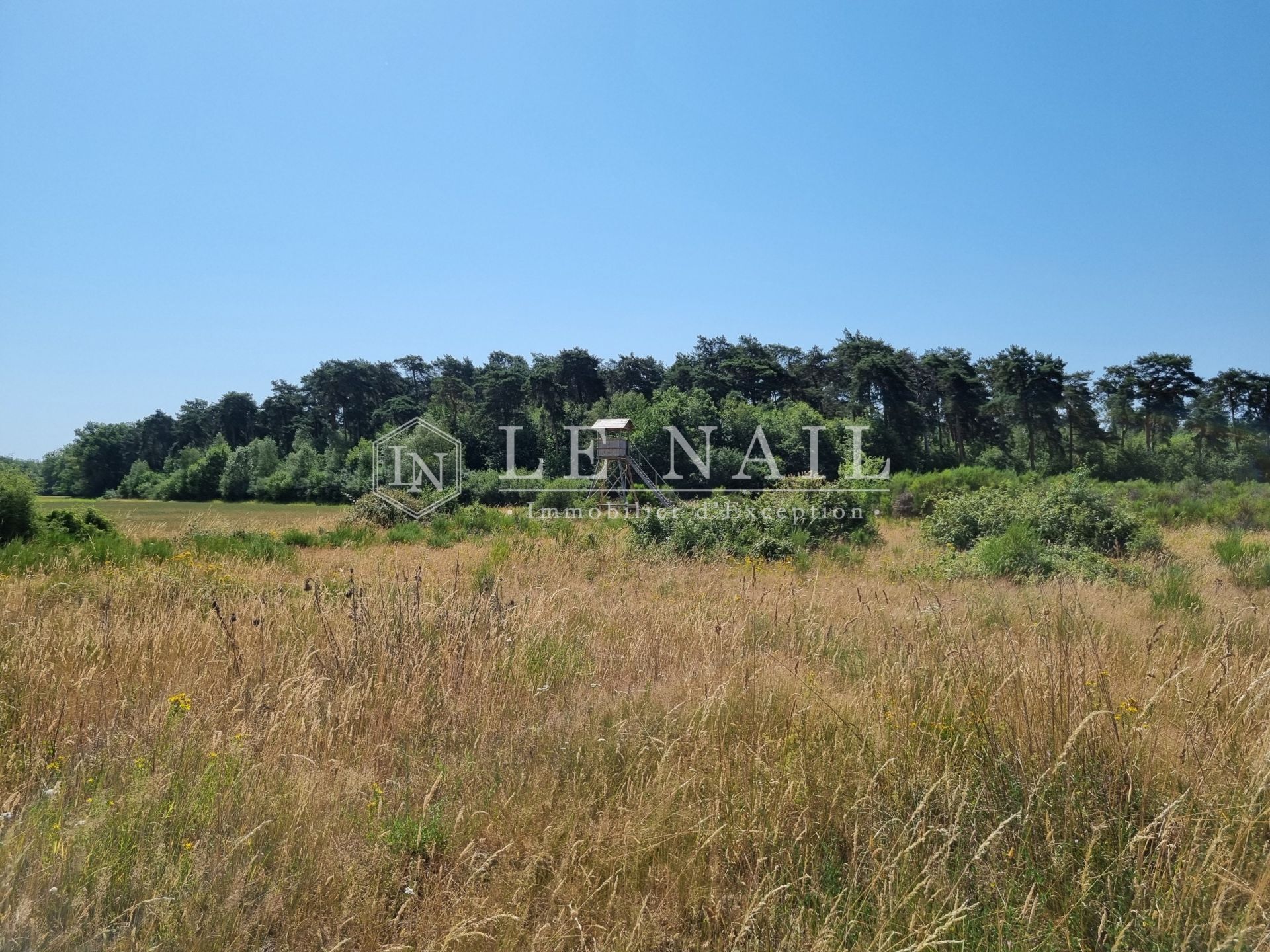 hunting estate 8 rooms for sale on LORRIS (45260)