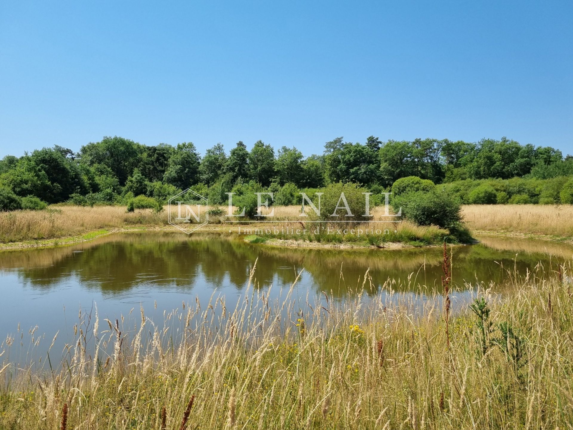 hunting estate 8 rooms for sale on LORRIS (45260)
