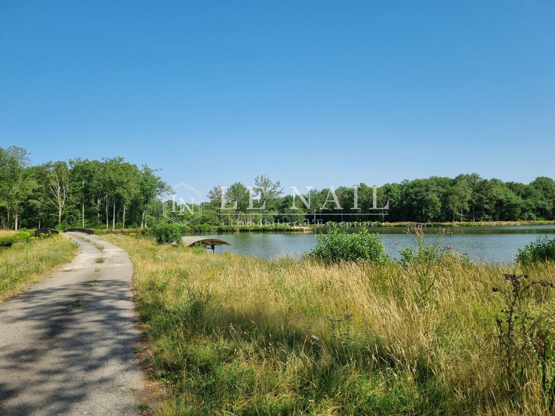 hunting estate 8 rooms for sale on LORRIS (45260)