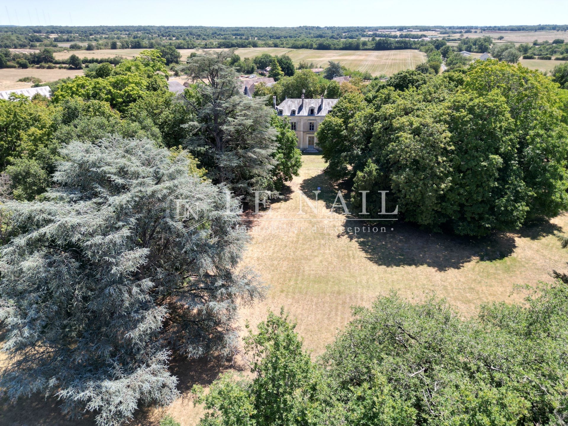 château 12 pièces en vente à LE BLANC (36300)