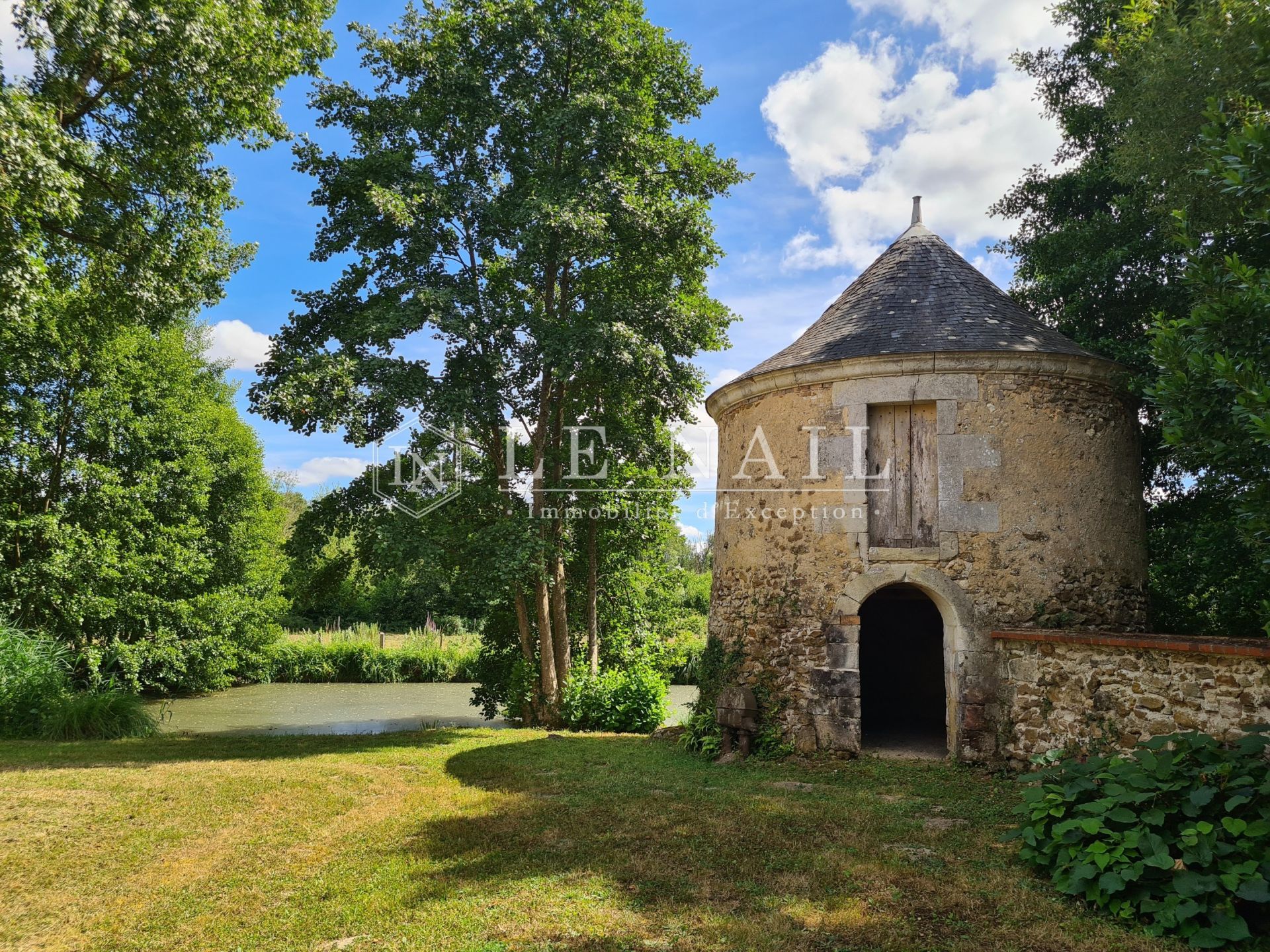 house 6 rooms for sale on LANGEAIS (37130)