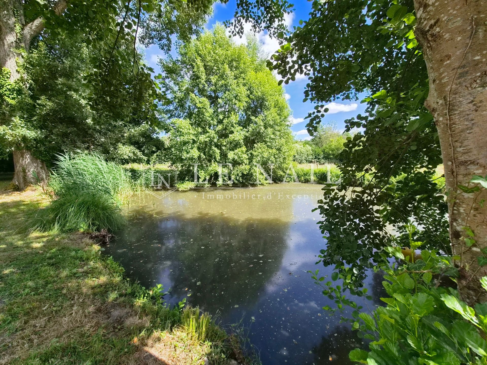 house 6 rooms for sale on LANGEAIS (37130)