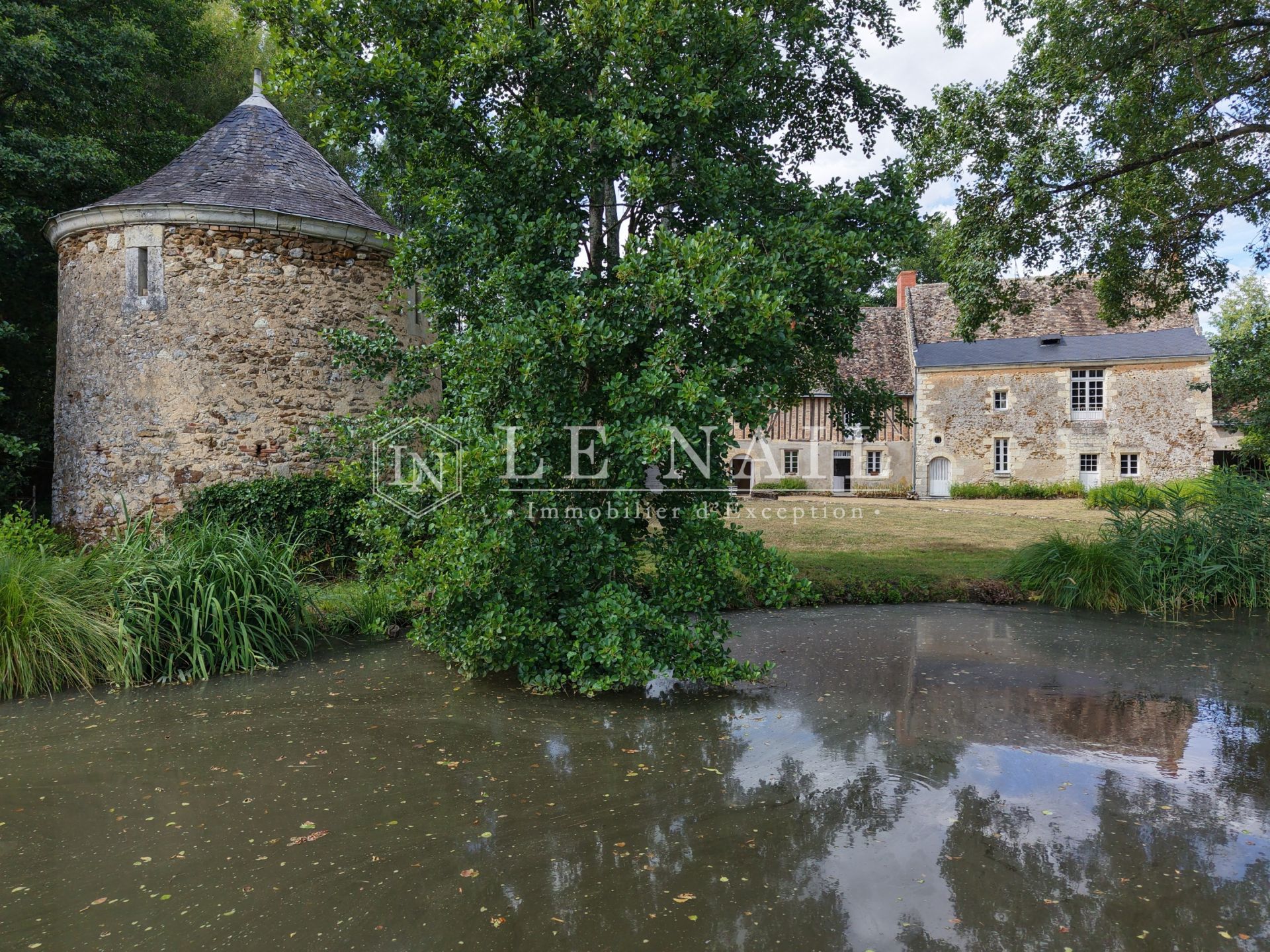 house 6 rooms for sale on LANGEAIS (37130)