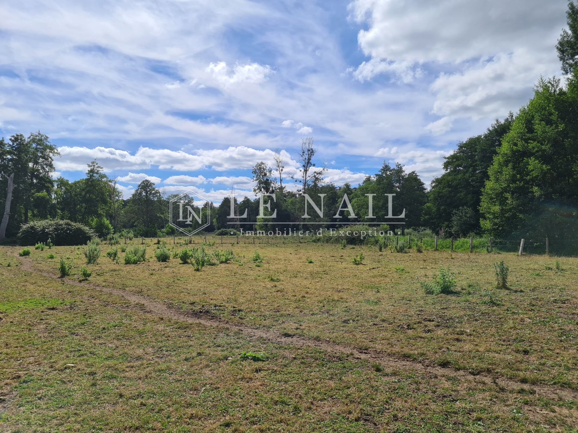 house 6 rooms for sale on LANGEAIS (37130)