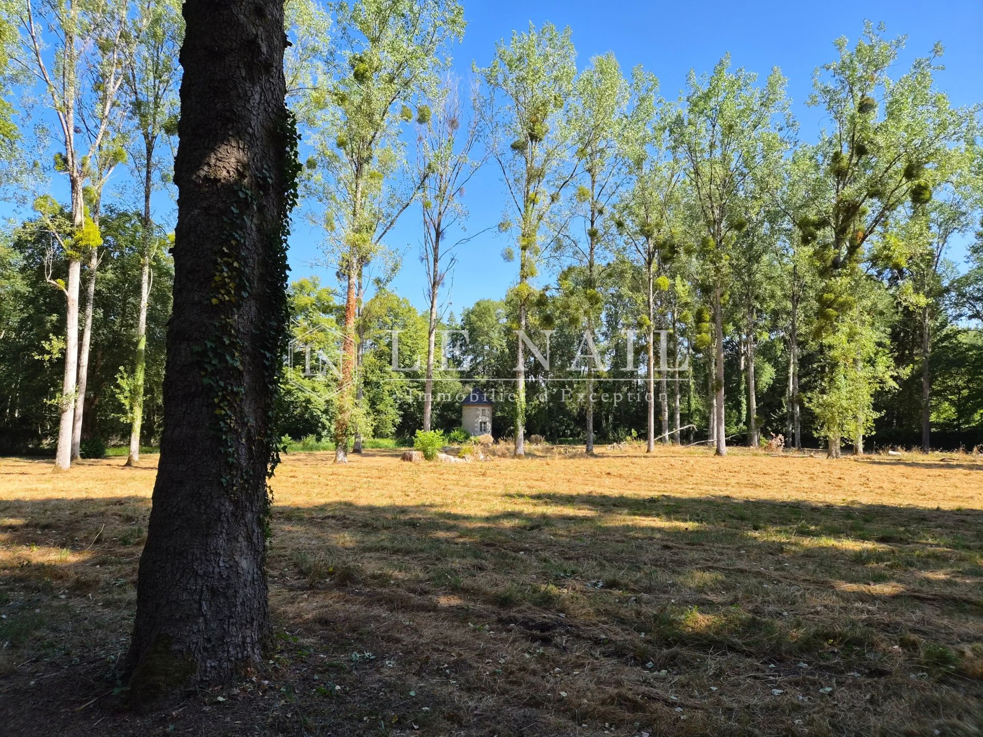 propriété 8 pièces en vente à TOURS (37000)