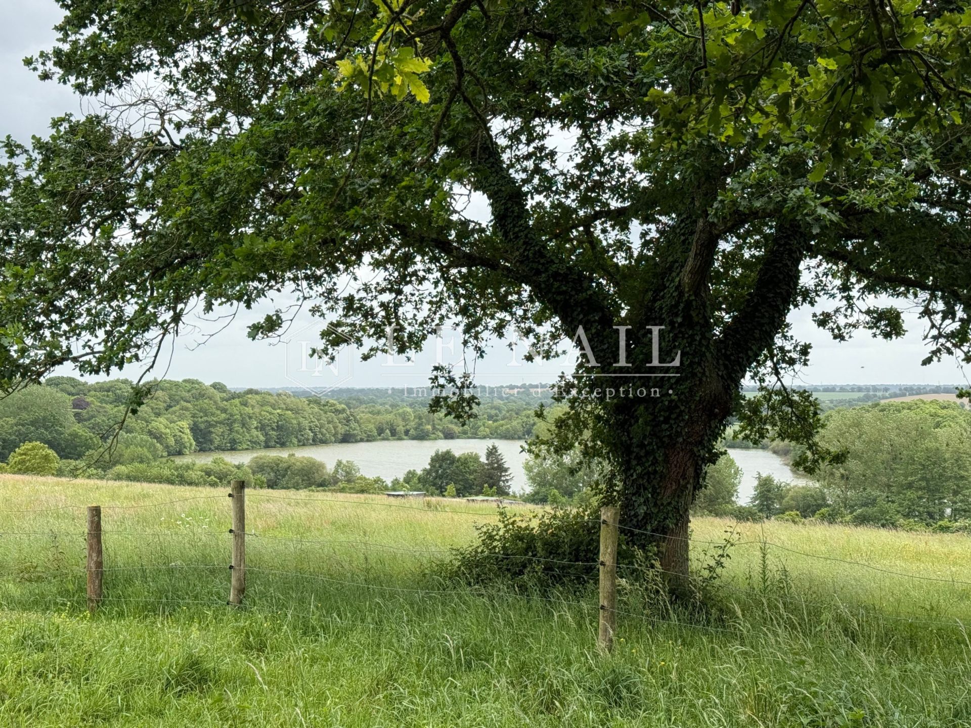 château 11 pièces en vente à POUANCE (49420)