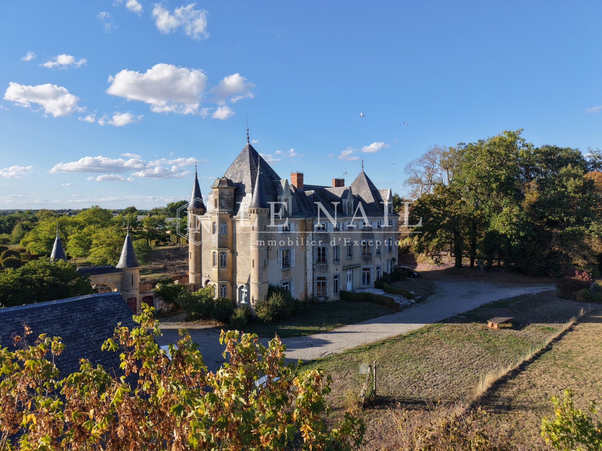 château 20 pièces en vente à LAVAL (53000)